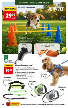 Pogląd oferty "Biedronka gazetka - Hity i inspiracje" - ważna od 20.07.2026 | Strona: 38