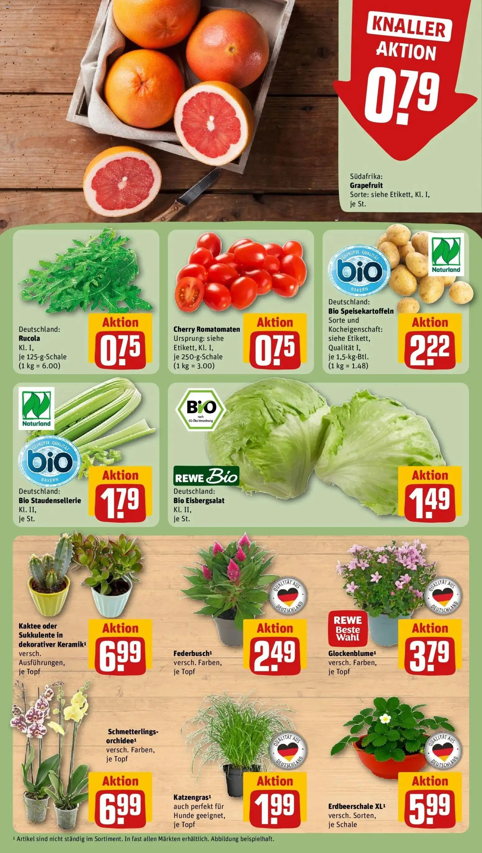 Rewe Prospekt München – gültig ab 27.07.2026 | Seite: 7 | Produkte: Orchidee, Rucola, Eisbergsalat, Grapefruit