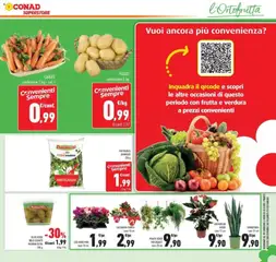 Anteprima del volantino CAROTE confezione 1 kg - cat. I, CAROTE confezione 1 kg - cat. I valido a partire dal 23/09/2026 | Pagina: 23 | Prodotti: Patate, Frutta, Carote, Dolci