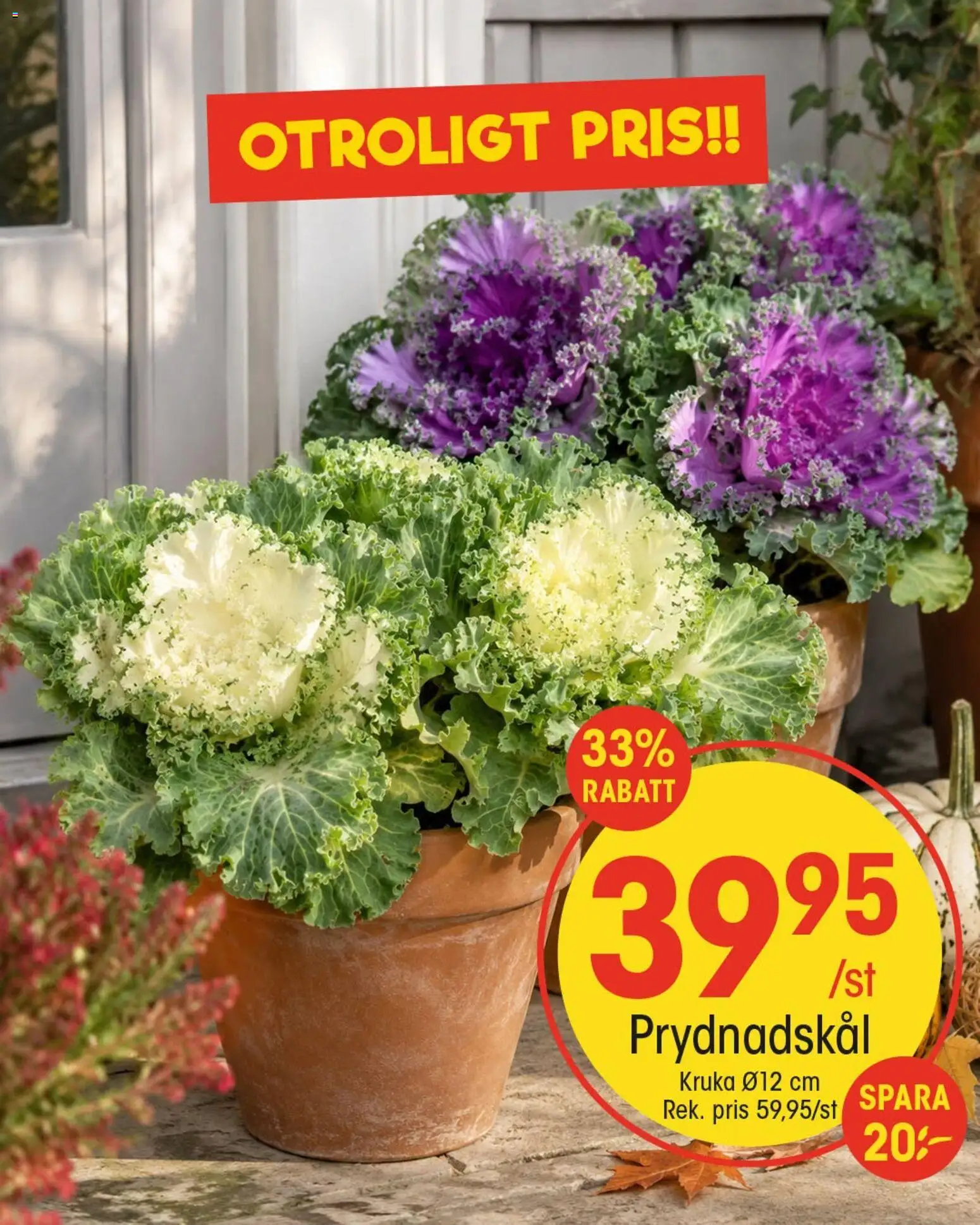 EKO reklamblad aktuell från 26/08/2026 | Sida: 4