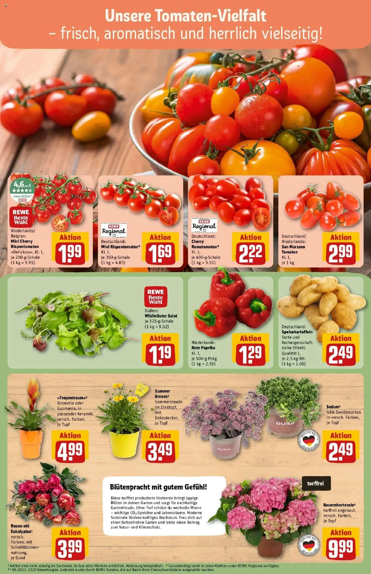 Rewe Prospekt Mannheim – gültig ab 13.07.2026 | Seite: 7 | Produkte: Top, Tomaten, Paprika, Salat