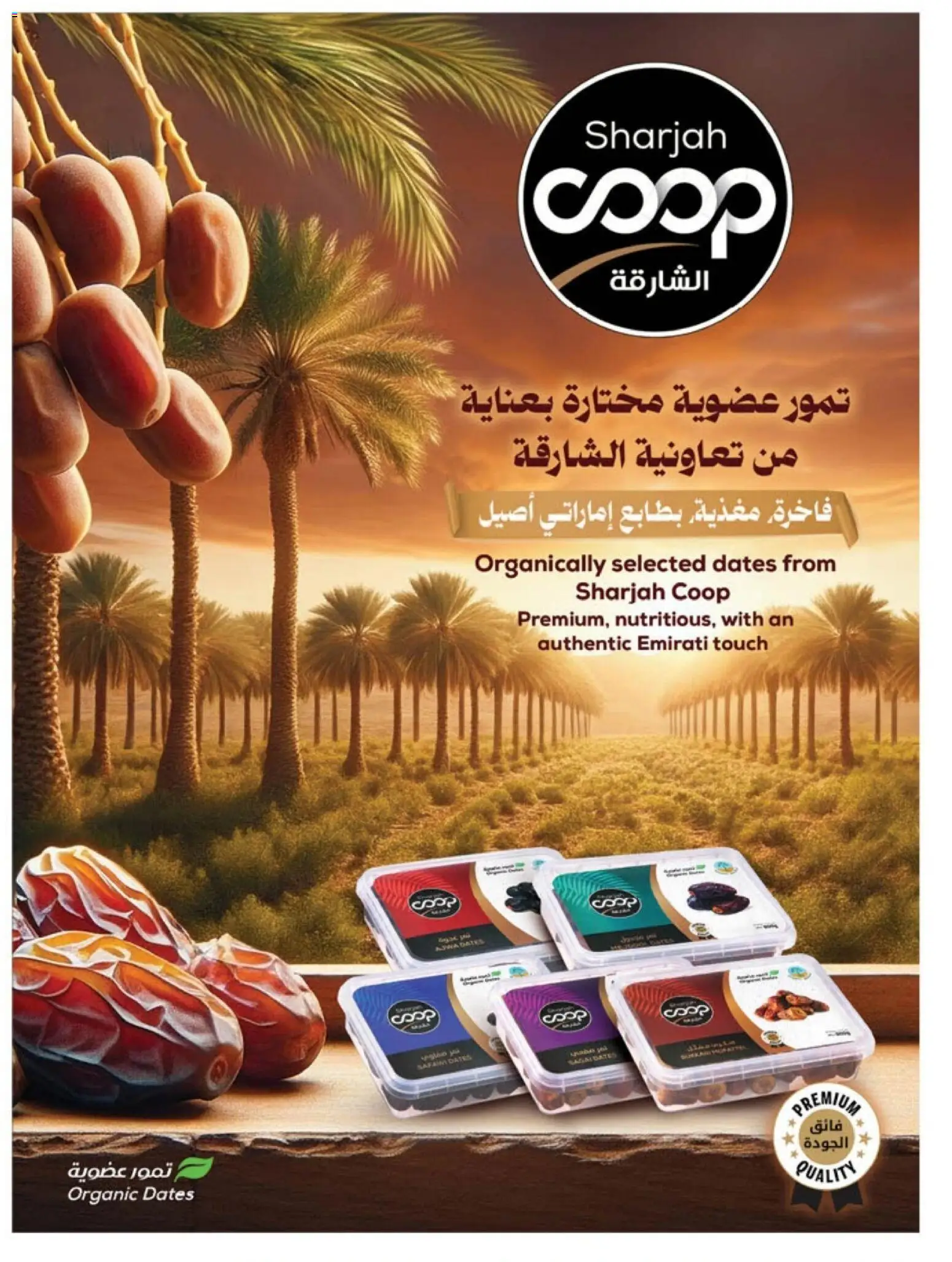 {H1} | Page: 7 | Products: Dates