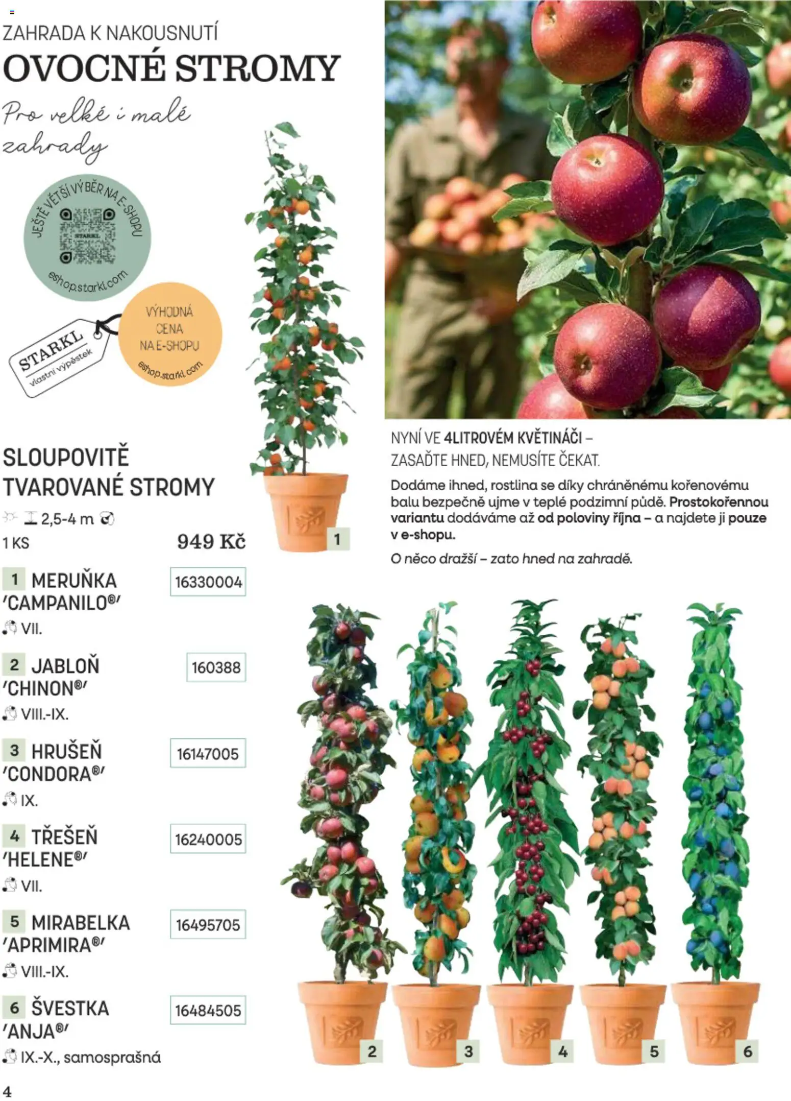 Starkl katalog Podzim 2026 od 01.09.2026 | Strana: 4 | Produkty: Zahrada