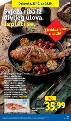 Lidl Katalog - Pregled kataloga iz trgovine Lidl, vrijedi od 19.10.2026 | Stranica: 67