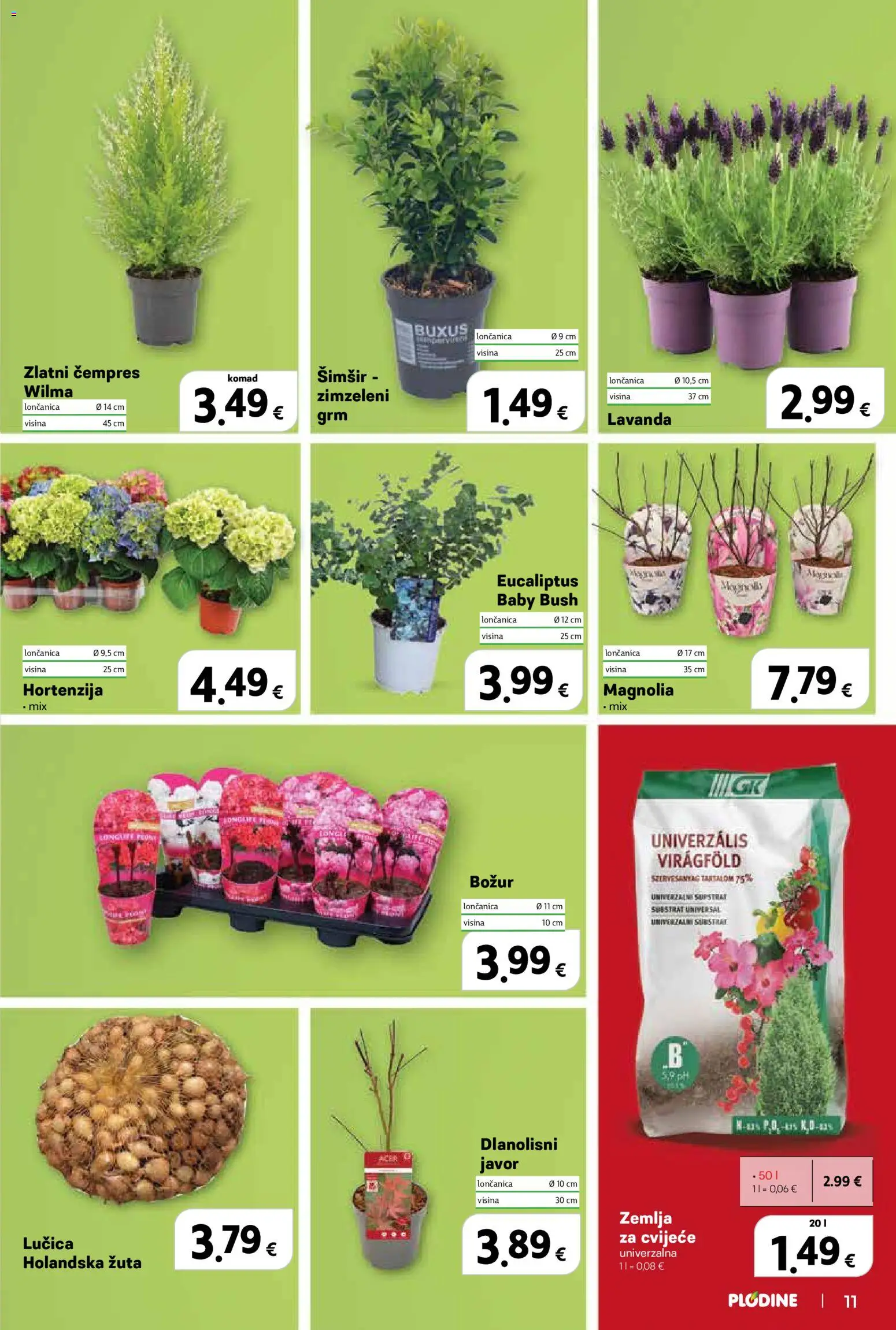 Plodine katalog | vrijedi od 11.03.2026 | Stranica: 11 | Proizvodi: Cvijeće