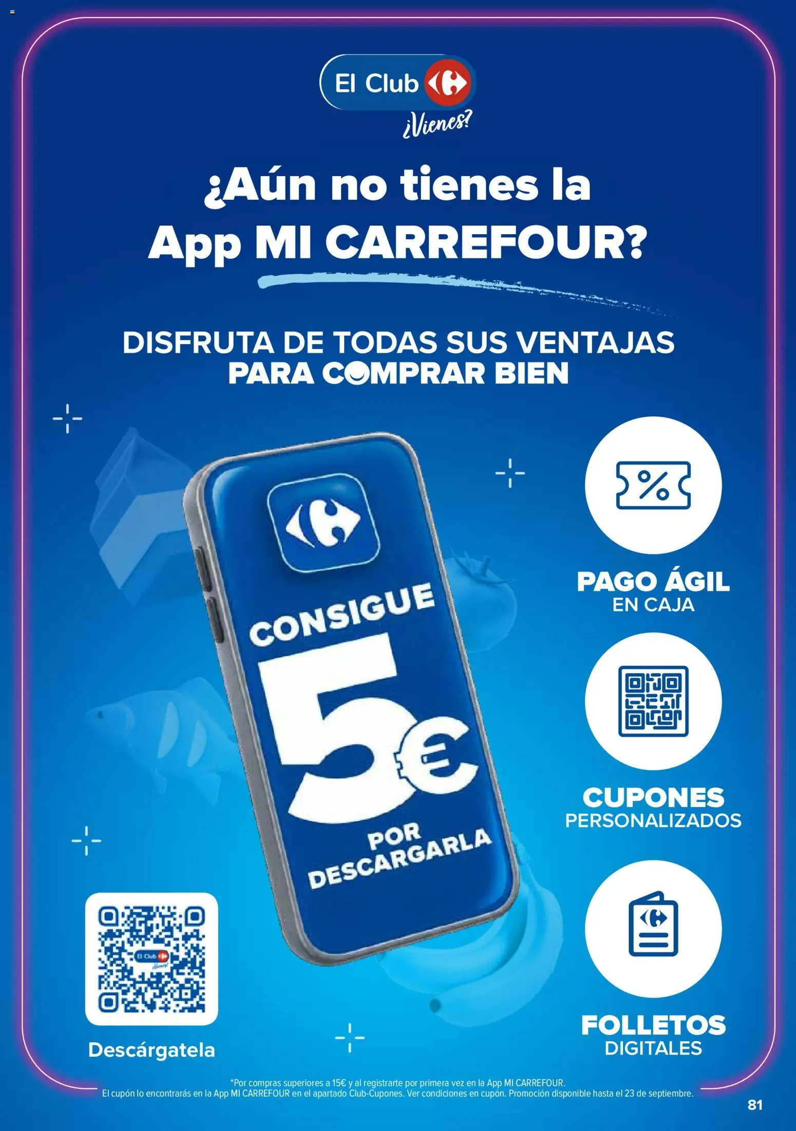 Carrefour folleto │ válido desde el 10/09/2026 | Página: 17