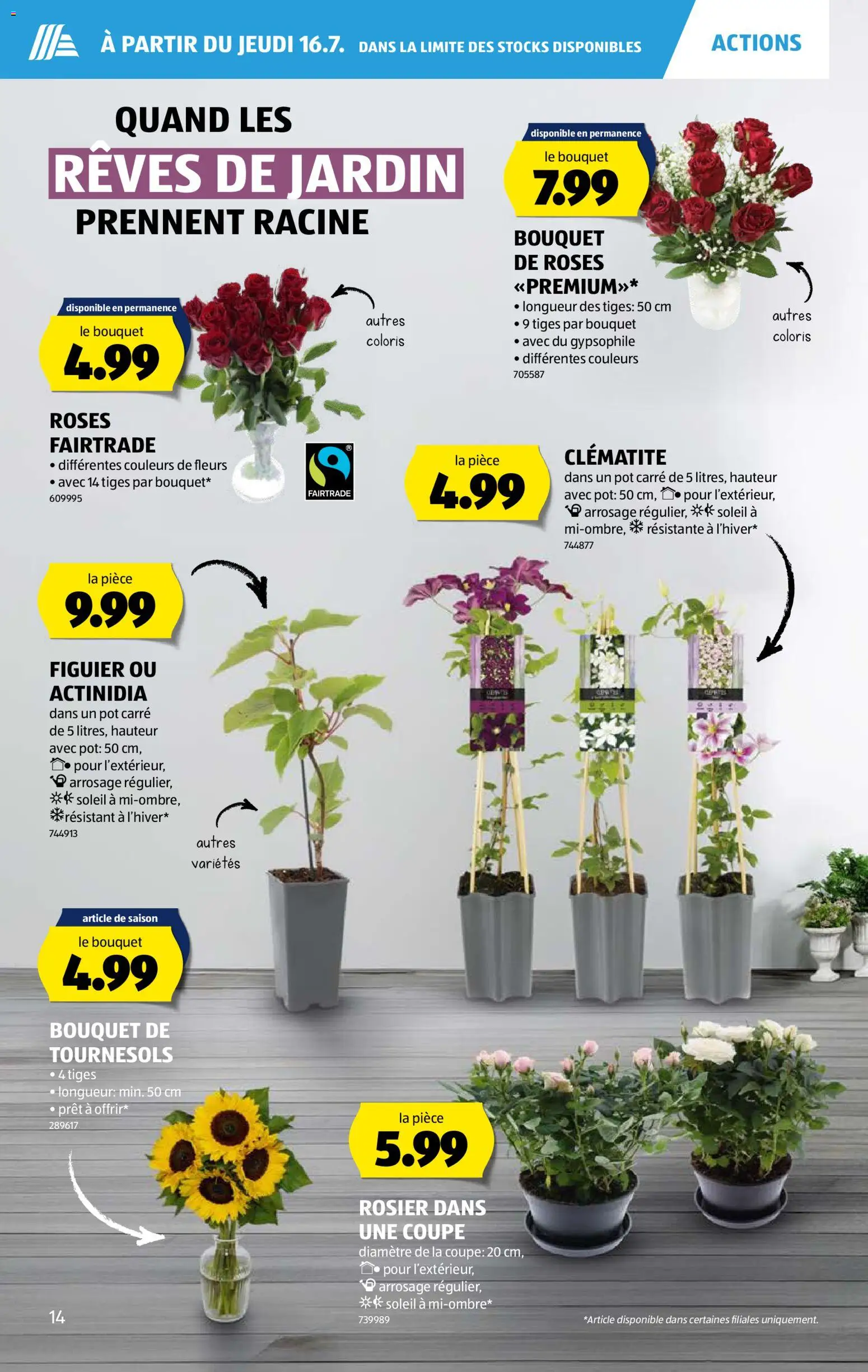 Aldi aktionen FR – gültig ab 16.07.2026 | Seite: 14 | Produkte: Kiwi