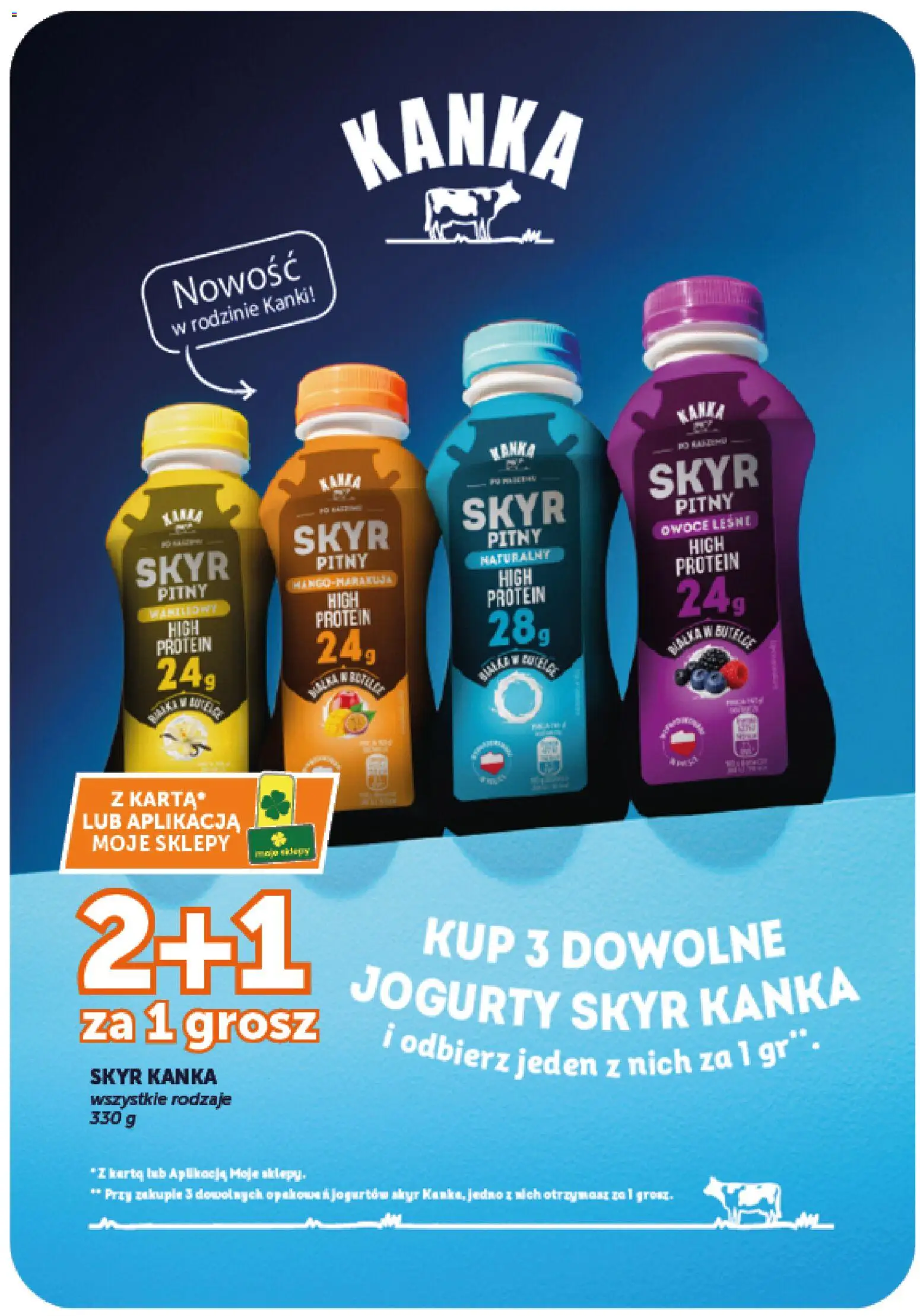 Groszek gazetka od 20.08.2026 | Strona: 22 | Produkty: High Protein, Skyr pitny, Owoce, Skyr