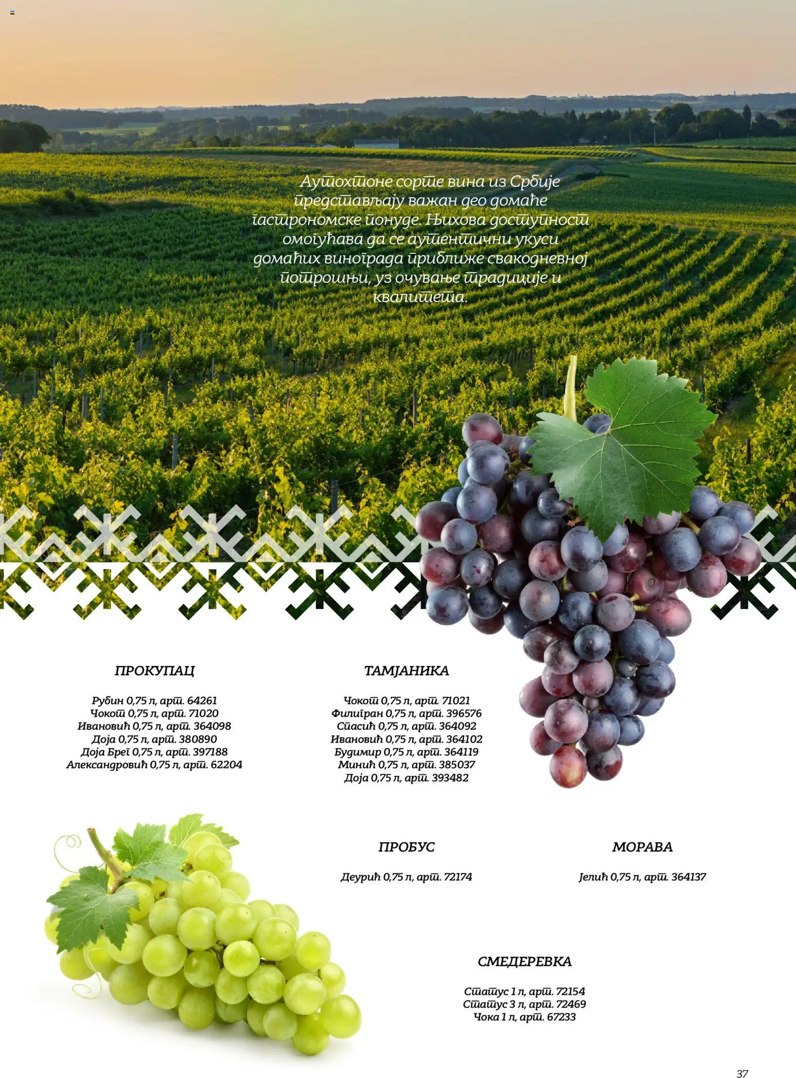 Metro katalog - važi od 02.10.2026 | Strana: 36