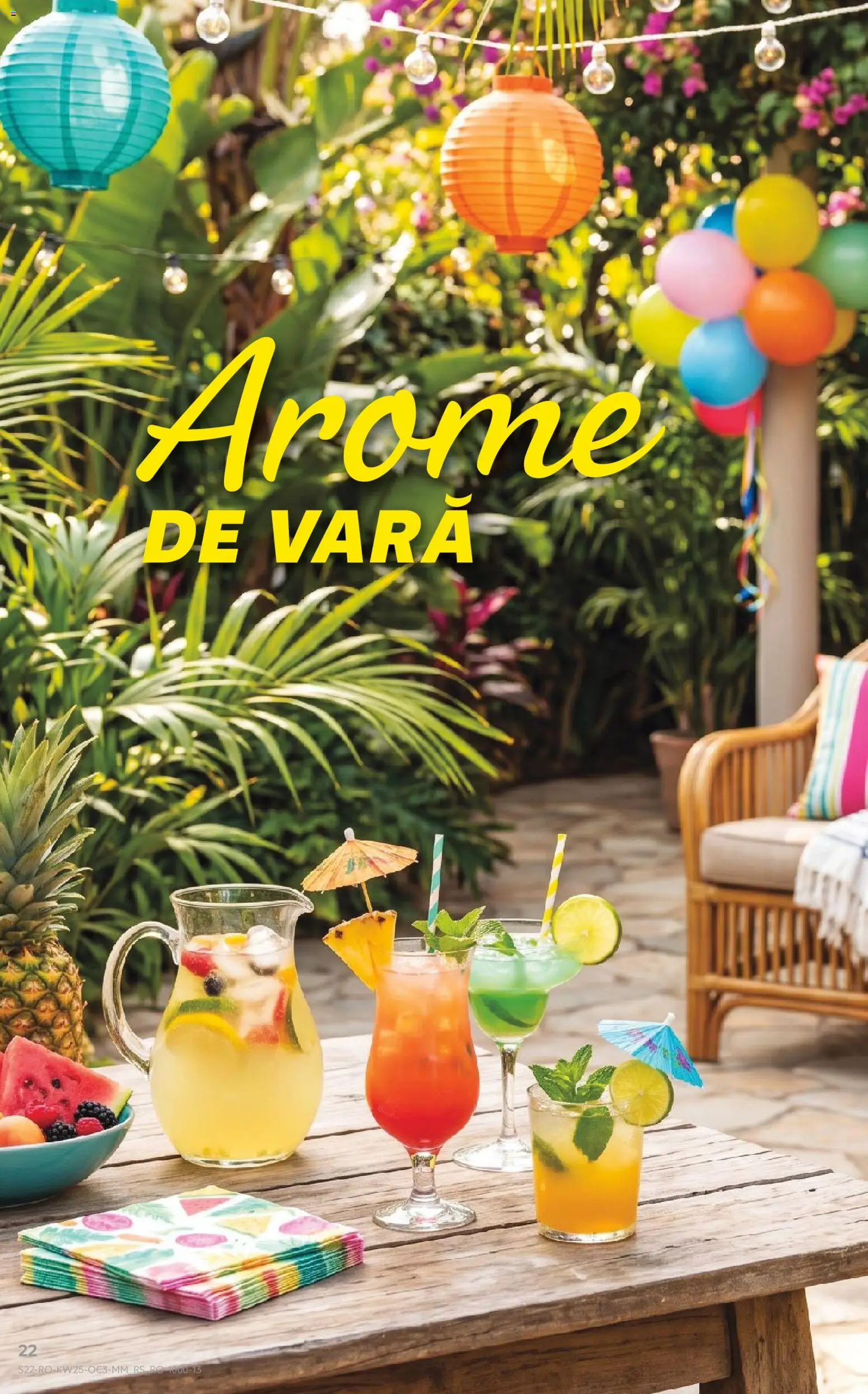 Noul catalog Kaufland – valabil de la 17.06.2026 | Pagină: 22