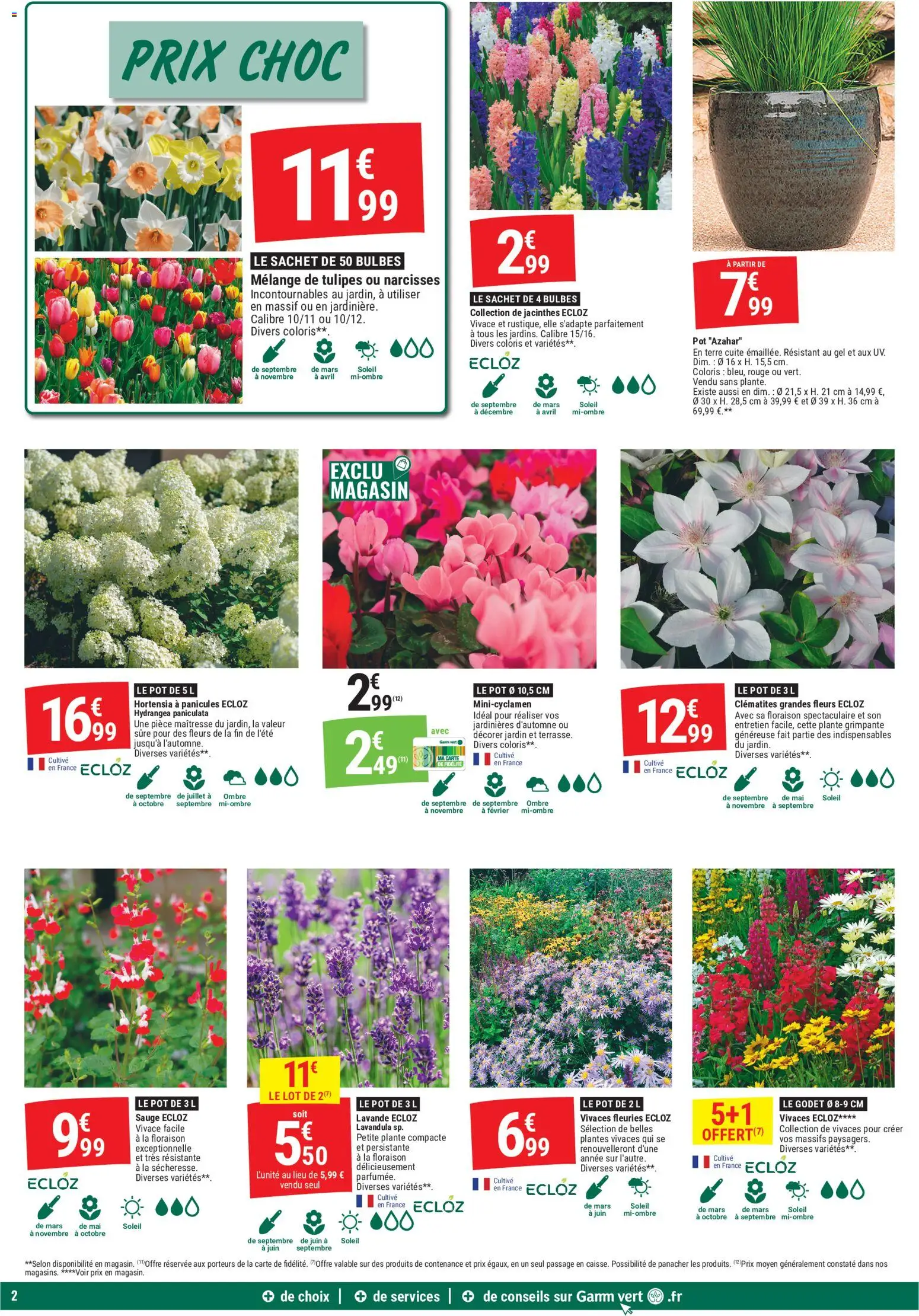 {H1} | Page: 2 | Produits: Hortensia, Plantes, Clématites, Tulipes