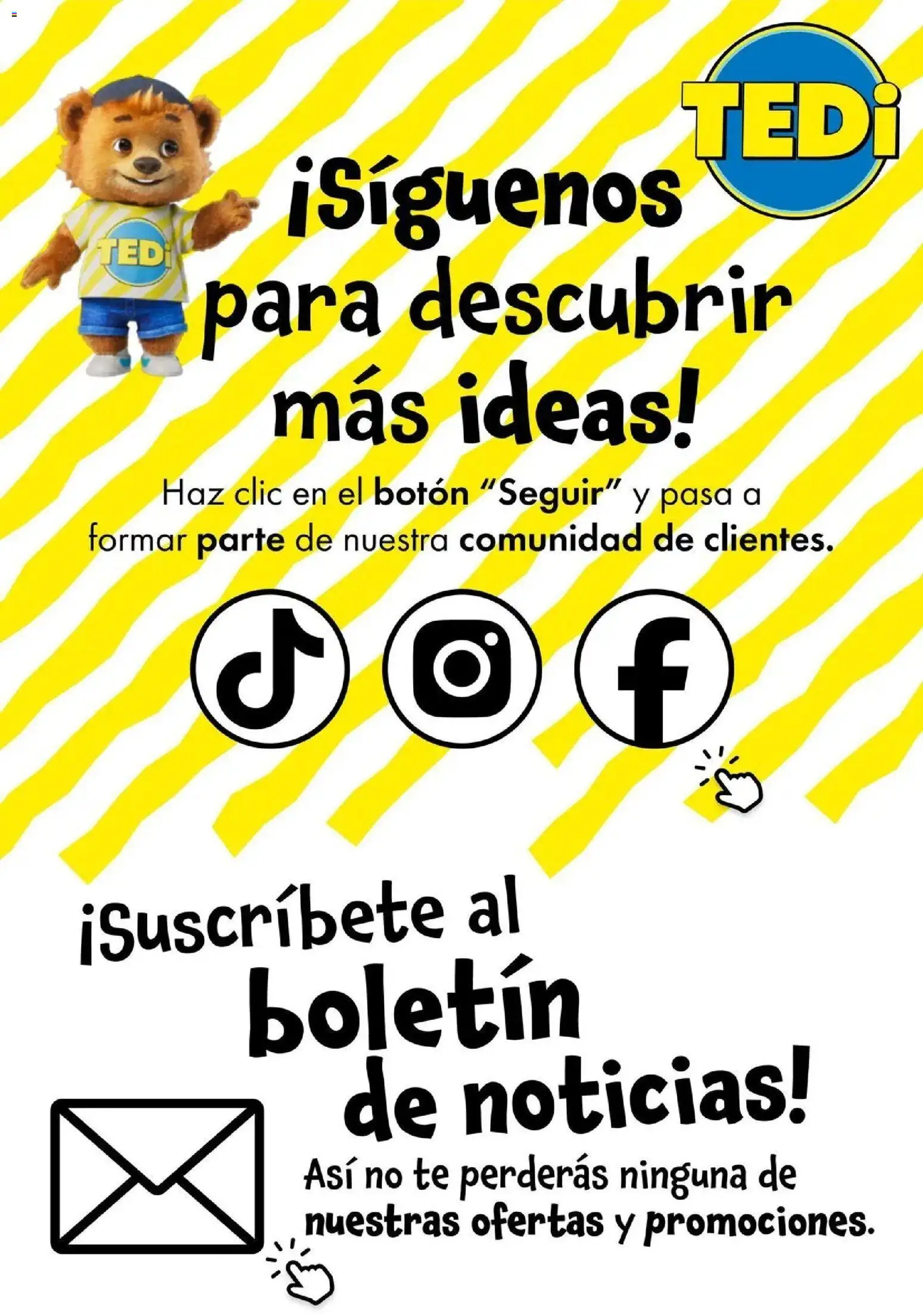 TEDi folleto │ válido desde el 18.06.2026 | Página: 17 | Productos: Té