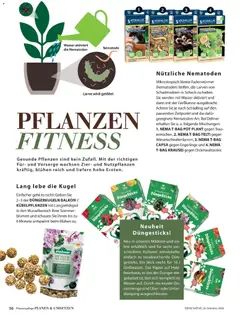 Dehner Flugblatt ab 01.05.2026 gültig | Seite: 56 | Produkte: Wasser, Gemüse, Tomaten