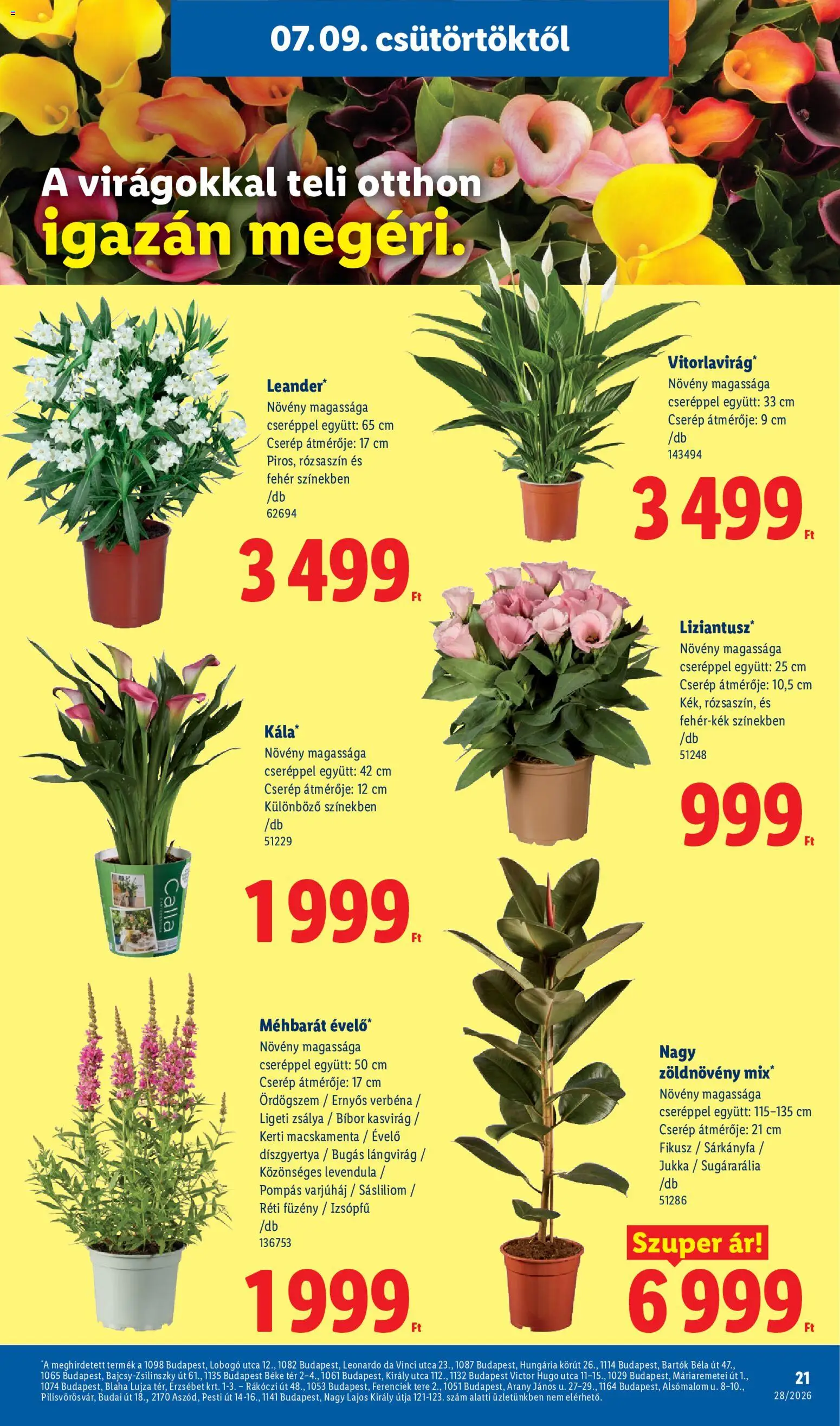 Lidl akciós ujság - amely érvényes a következő dátumtól: 2026.07.09. | Oldal: 21
