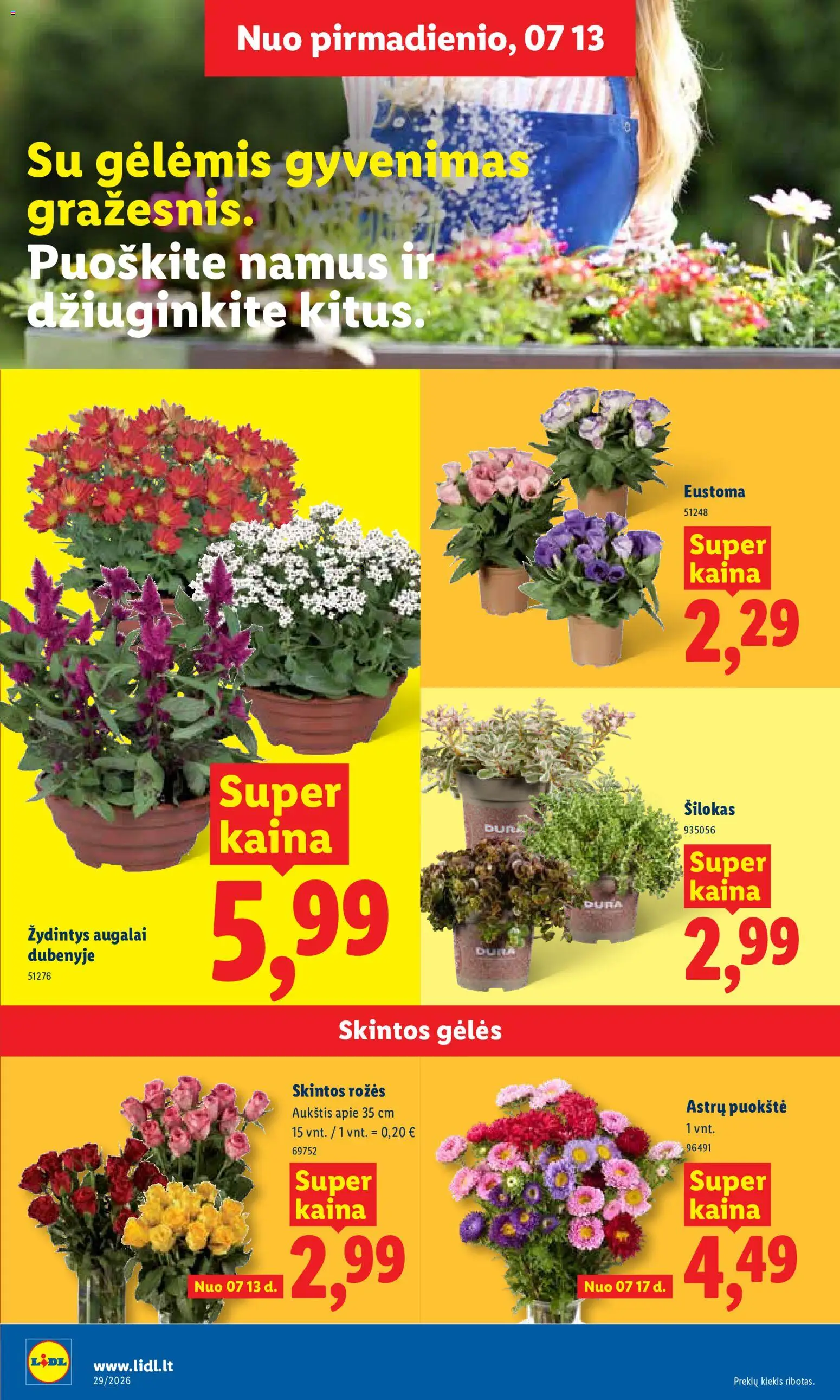 LIDL akcijos nuo 2026.07.13 | Puslapis: 8