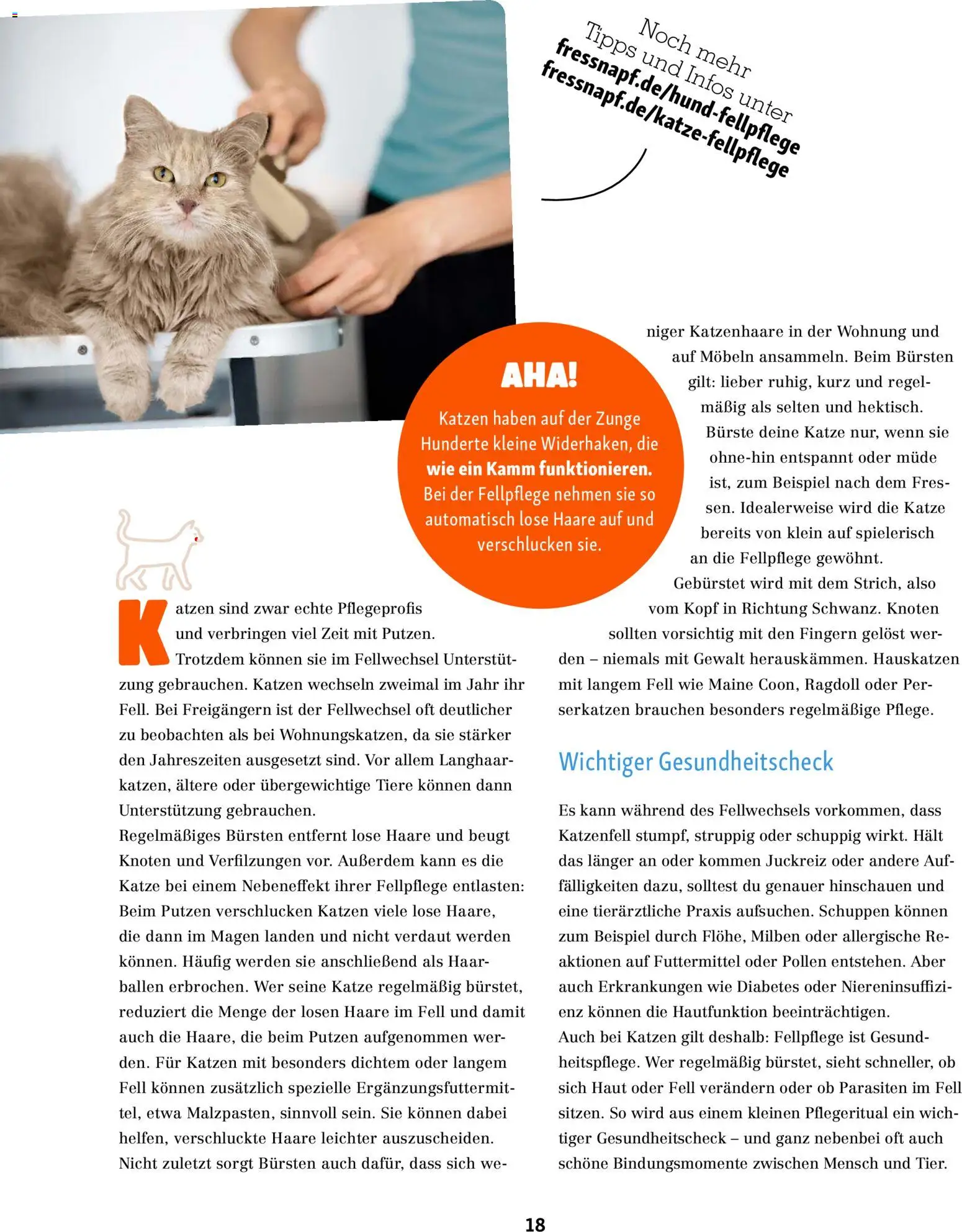 Fressnapf Friends Magazin – gültig ab 01.09.2026 | Seite: 18 | Produkte: Bürste