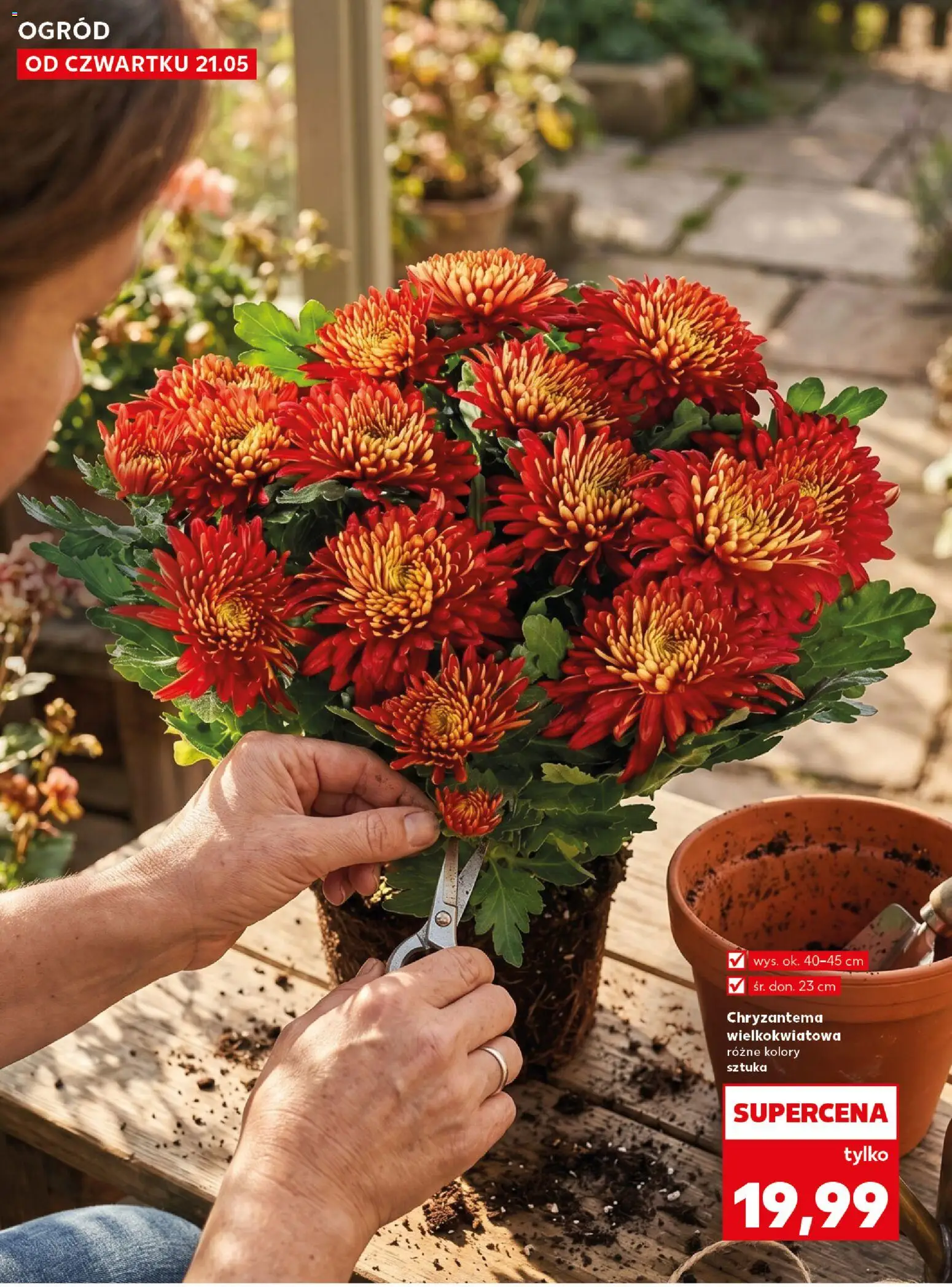 Kaufland Polsko leták - Wiosenne inspiracje od 21.05.2026 | Strana: 10