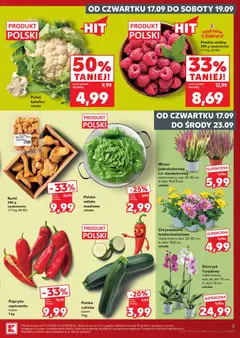 Pogląd oferty "Polski kalafior, Polski kalafior sztuka" - ważna od 17.09.2026 | Strona: 5 | Produkty: Kurki, Wrzos, Sałata, Storczyk