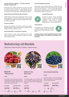 Náhled letáku Starkl katalog od 25.02.2026 | Strana: 129 | Produkty: Jahody, Borůvky, Rostliny, Rošt