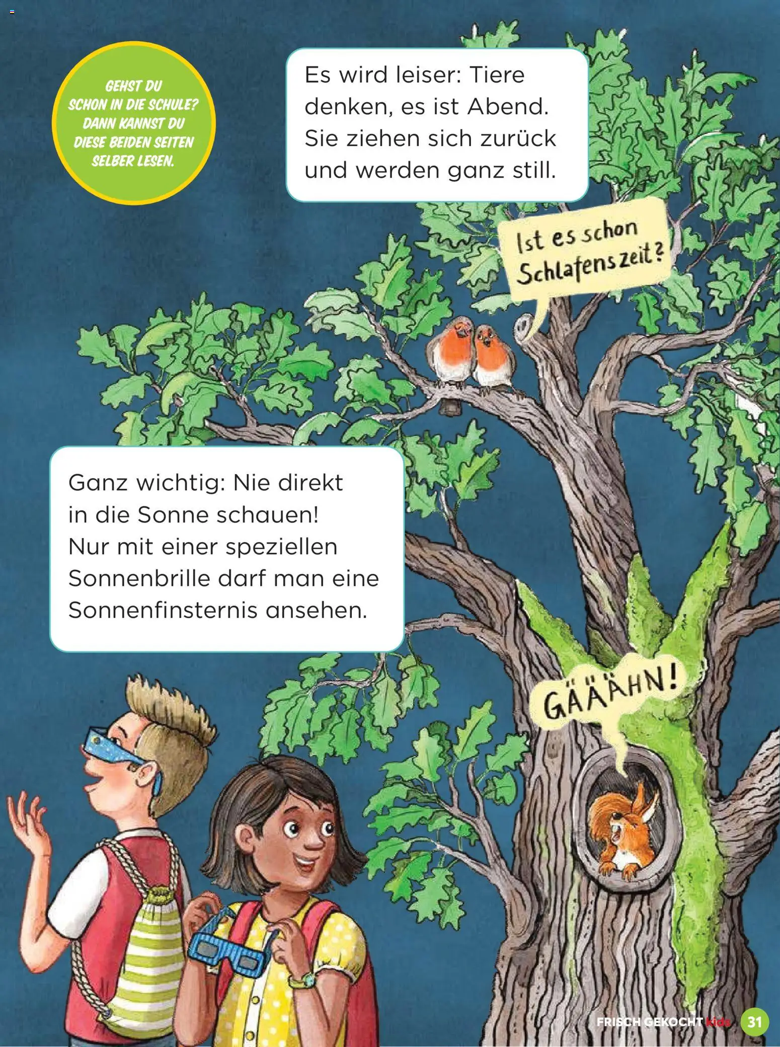 Billa Frisch Gekocht Kids gültig ab 01.06.2026 | Seite: 31