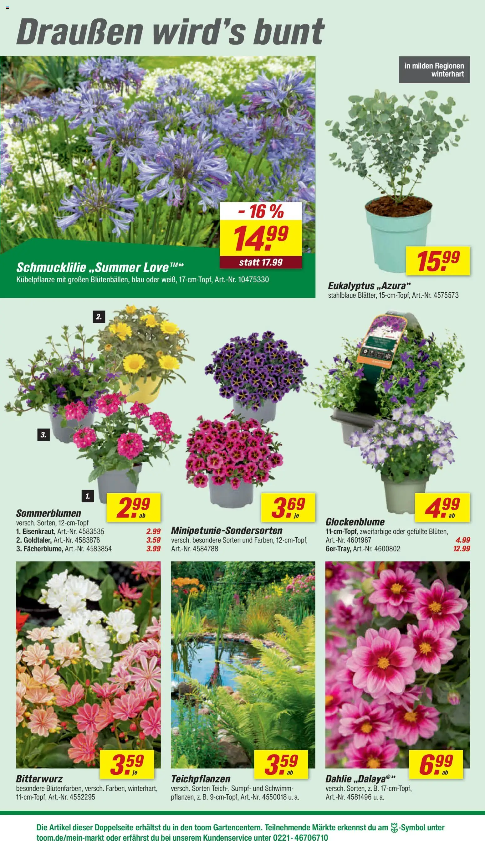 Toom Baumarkt Prospekt 	 – gültig ab 16.05.2026 | Seite: 4
