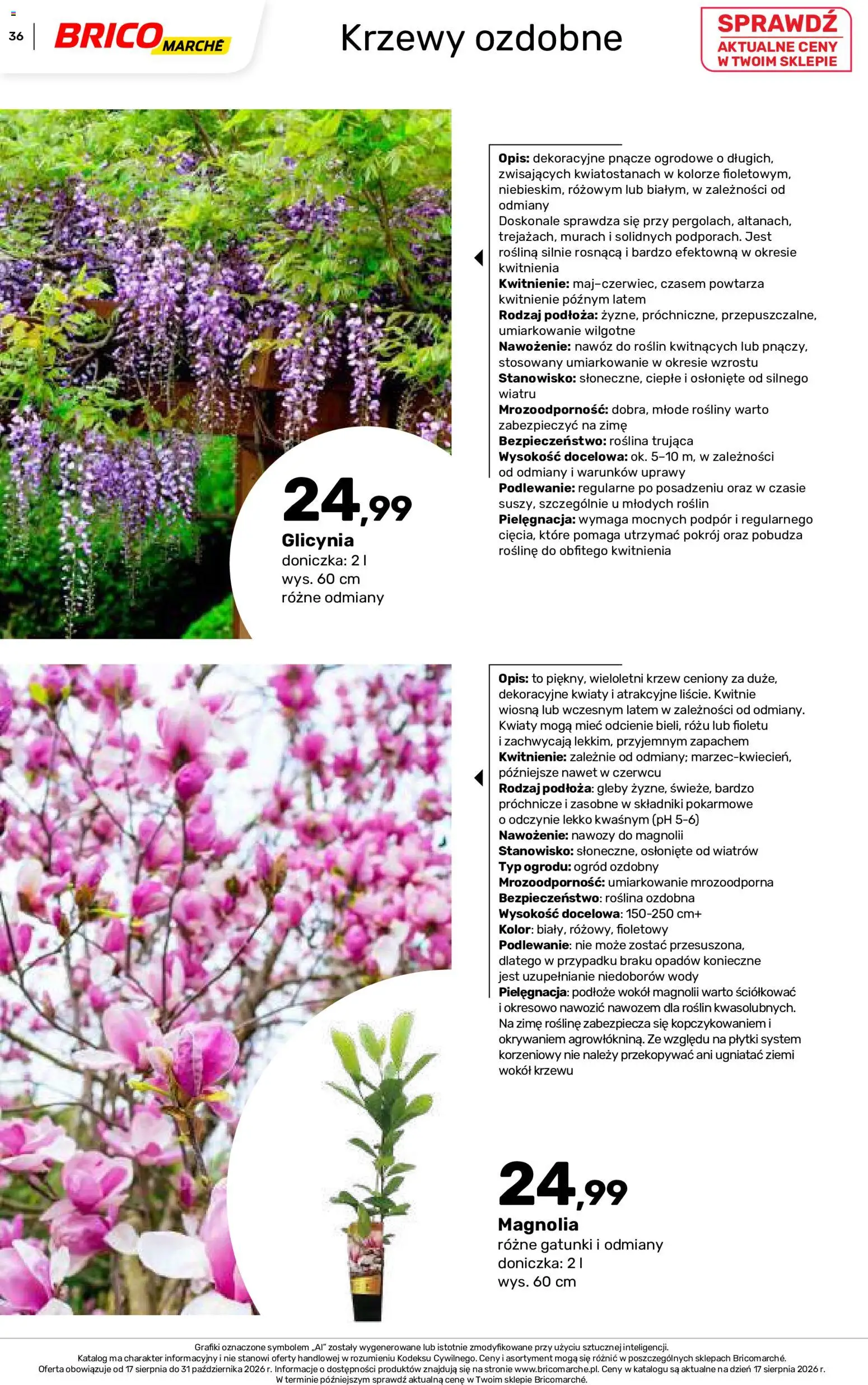 Brico Marché gazetka - Jesienne Inspiracje od 17.08.2026 | Strona: 36 | Produkty: Płytki, Doniczka, Nawóz, Rosliny