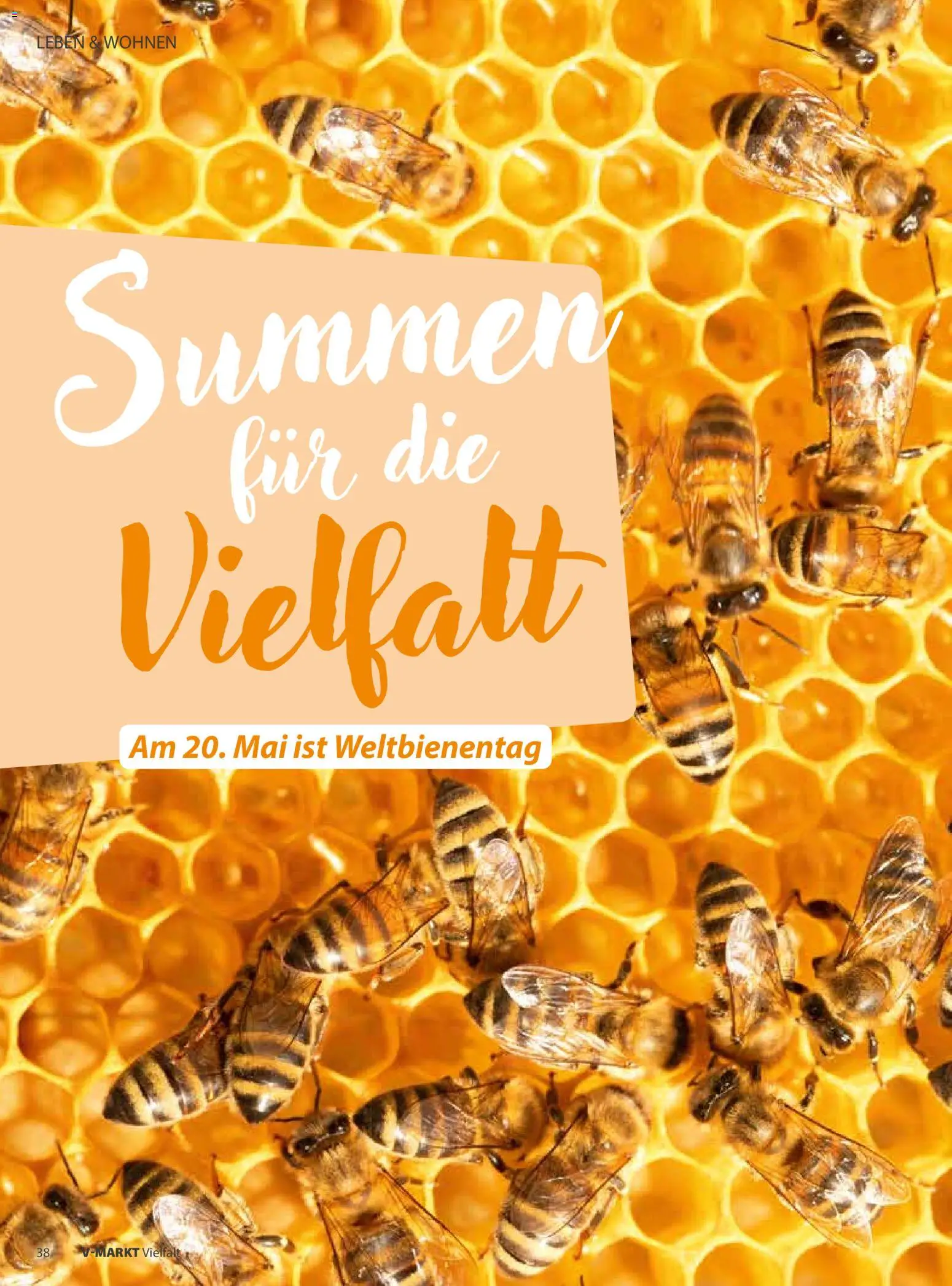 V-Markt Vielfalt Mai / Juni – gültig ab 01.05.2026 | Seite: 38