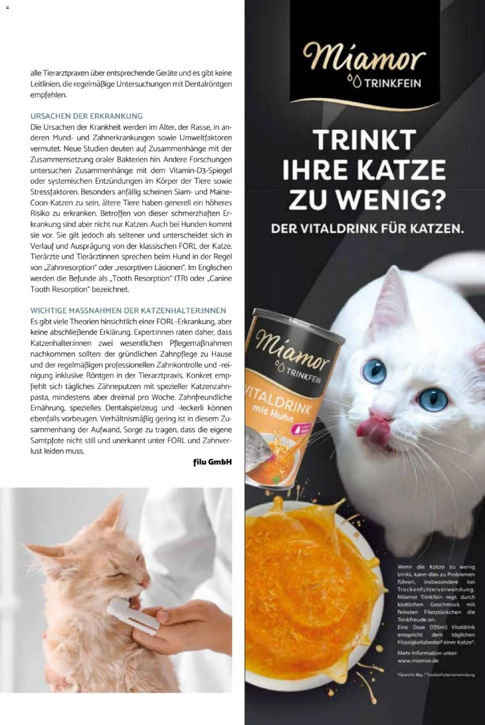 zookauf Heimtier Journal – gültig ab 01.06.2026 | Seite: 35
