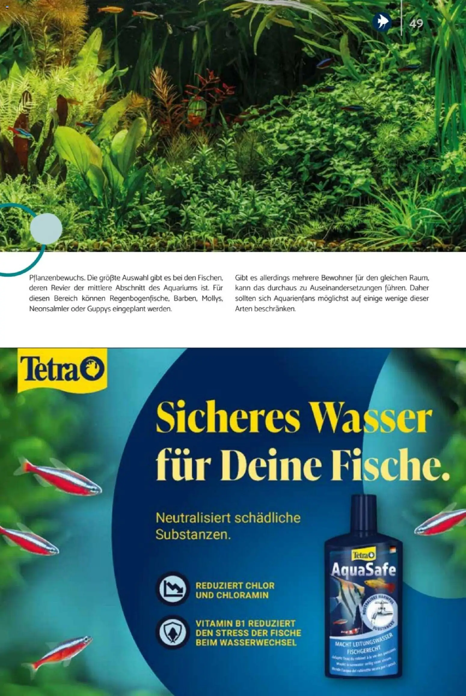 zookauf Heimtier Journal – gültig ab 01.10.2026 | Seite: 49 | Produkte: Wasser