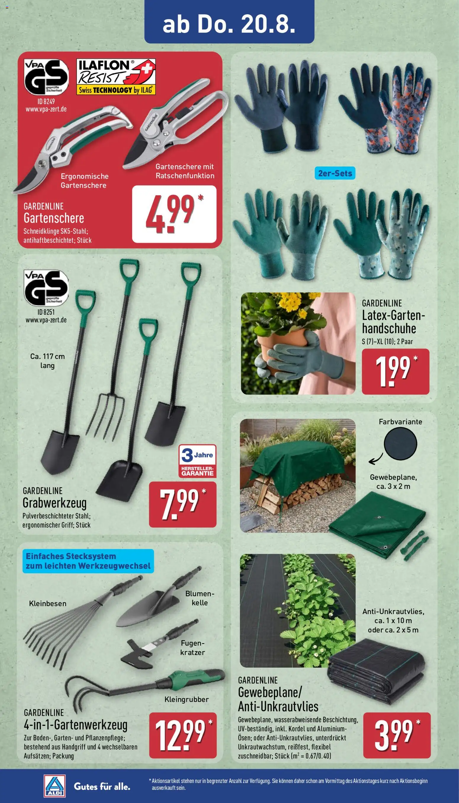 Aldi Prospekt – gültig ab 17.08.2026 | Seite: 11 | Produkte: Blumen, Handschuhe