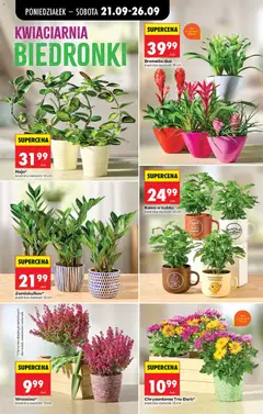 Pogląd oferty "Sos czosnkowy Madero, 410 g, Sos czosnkowy Madero" - ważna od 21.09.2026 | Strona: 70