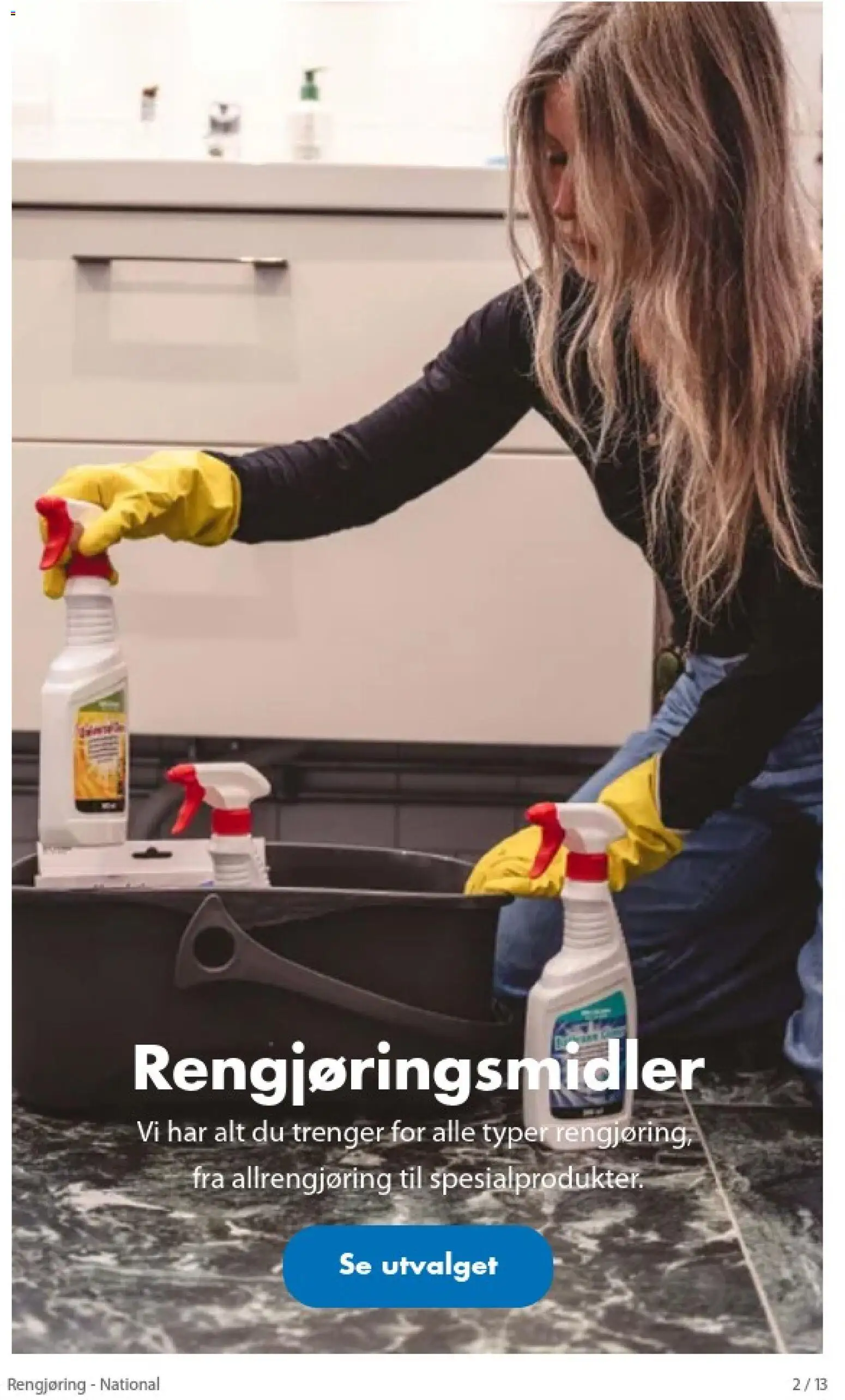 {H1} | Side: 2 | Produkter: Rengjøringsmidler