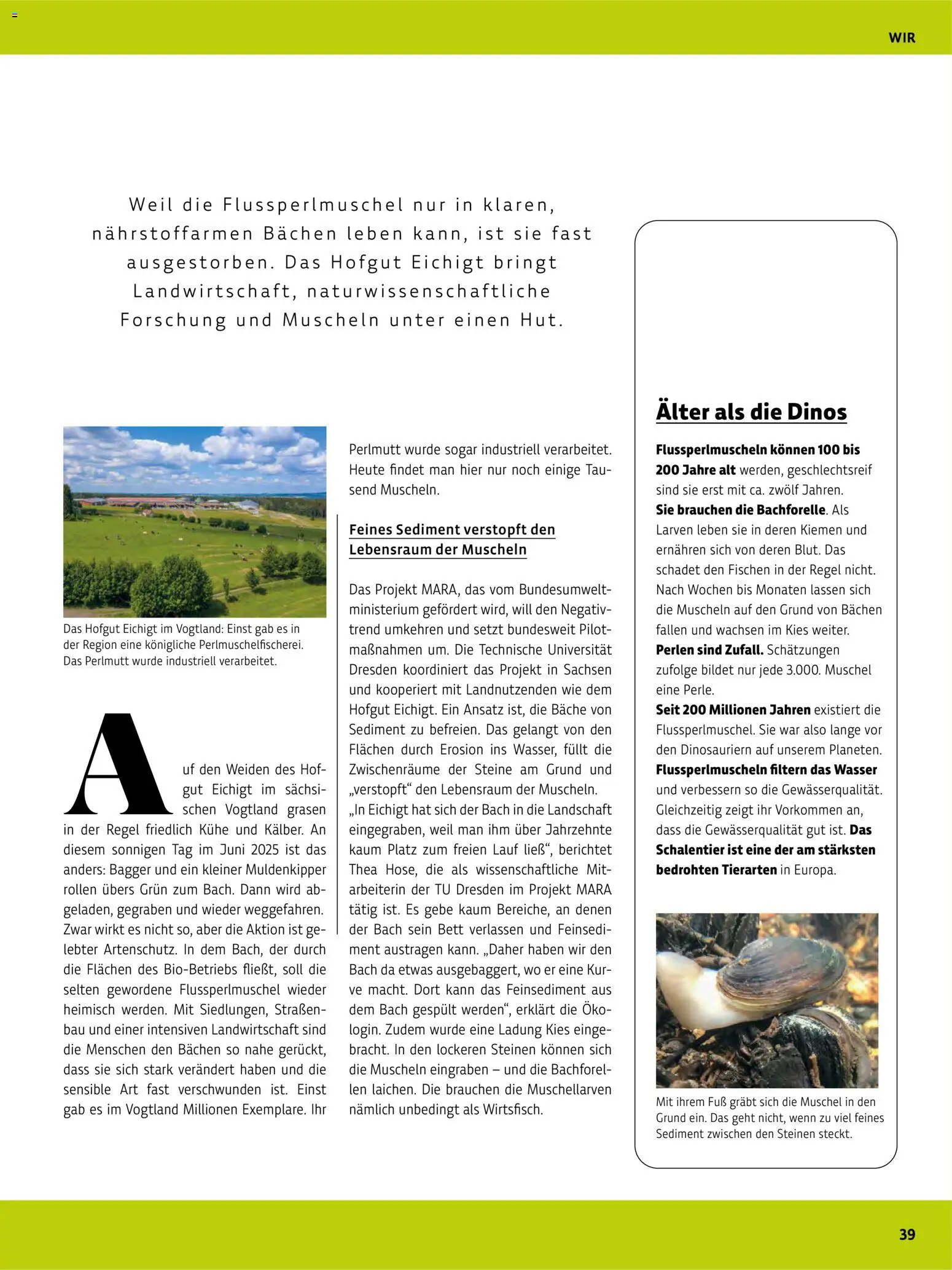 Denns BioMarkt Kreo Magazin – gültig ab 17.07.2026 | Seite: 39 | Produkte: Bett, Wasser