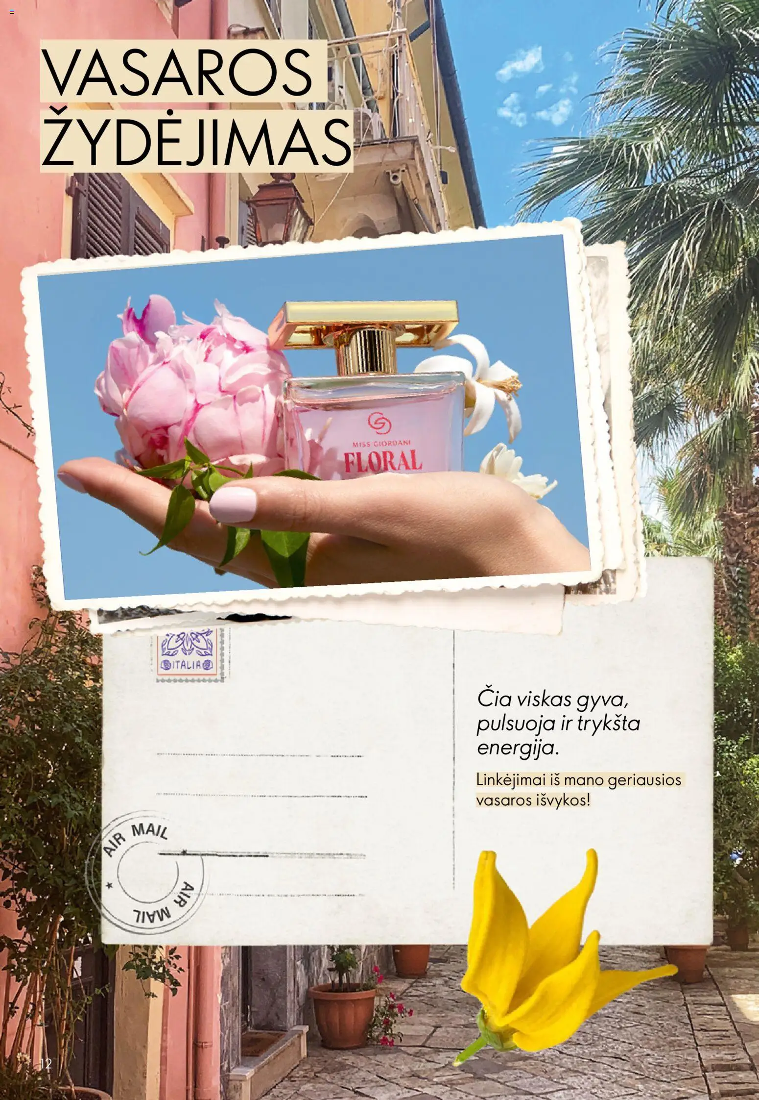 Oriflame akcijos nuo 2026.07.15 | Puslapis: 12
