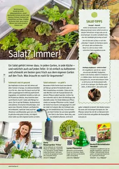 Bauhaus Reiche Ernte ab 25.05.2026 gültig | Seite: 28