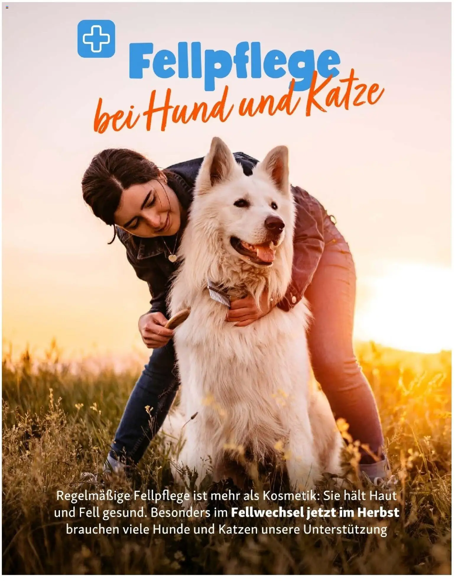 Fressnapf Friends 09,10 /26 gültig ab 01.09.2026 | Seite: 16