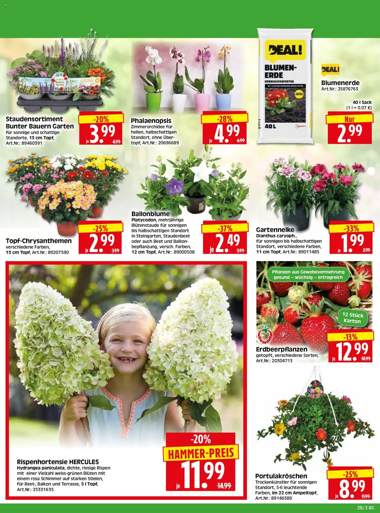 HERKULES Bau & Garten – gültig ab 06.07.2026 | Seite: 2 | Produkte: Blumen, Blumenerde