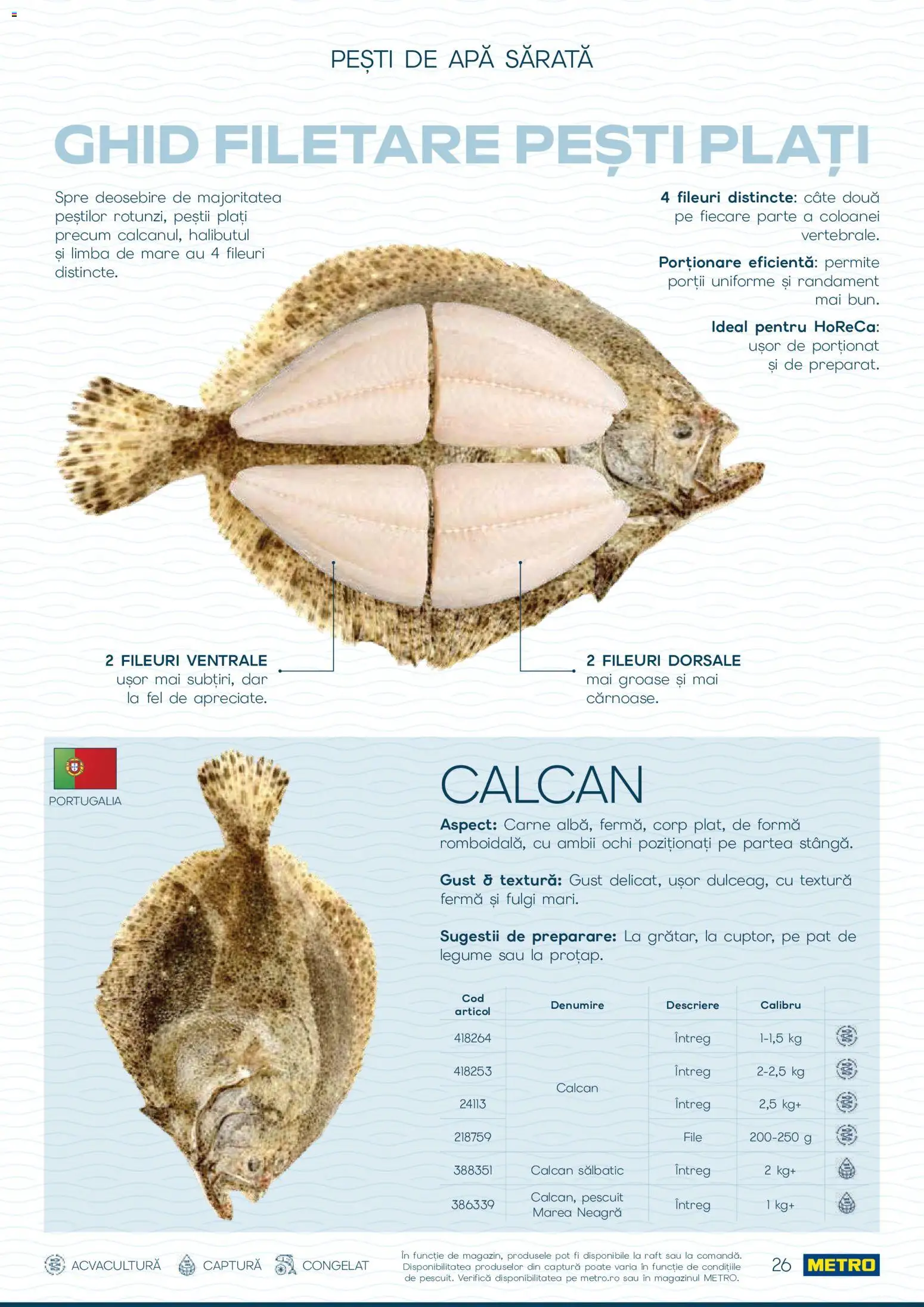 Noul catalog Metro – valabil de la 01.10.2026 | Pagină: 26 | Produse: Pat, Raft, Fulgi, Apă