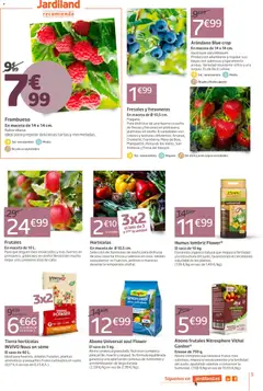 Vista previa Jardiland folleto válido desde el 01/10/2026 | Página: 5 | Productos: Tartas, Fresas, Macetas, Maceta
