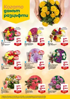 Преглед на BON VIA FLORA Рози саксия Ф12*, Рози саксия Ф12* 1бр. - Офертите са валидни от 21.05.2026 | Страница: 28