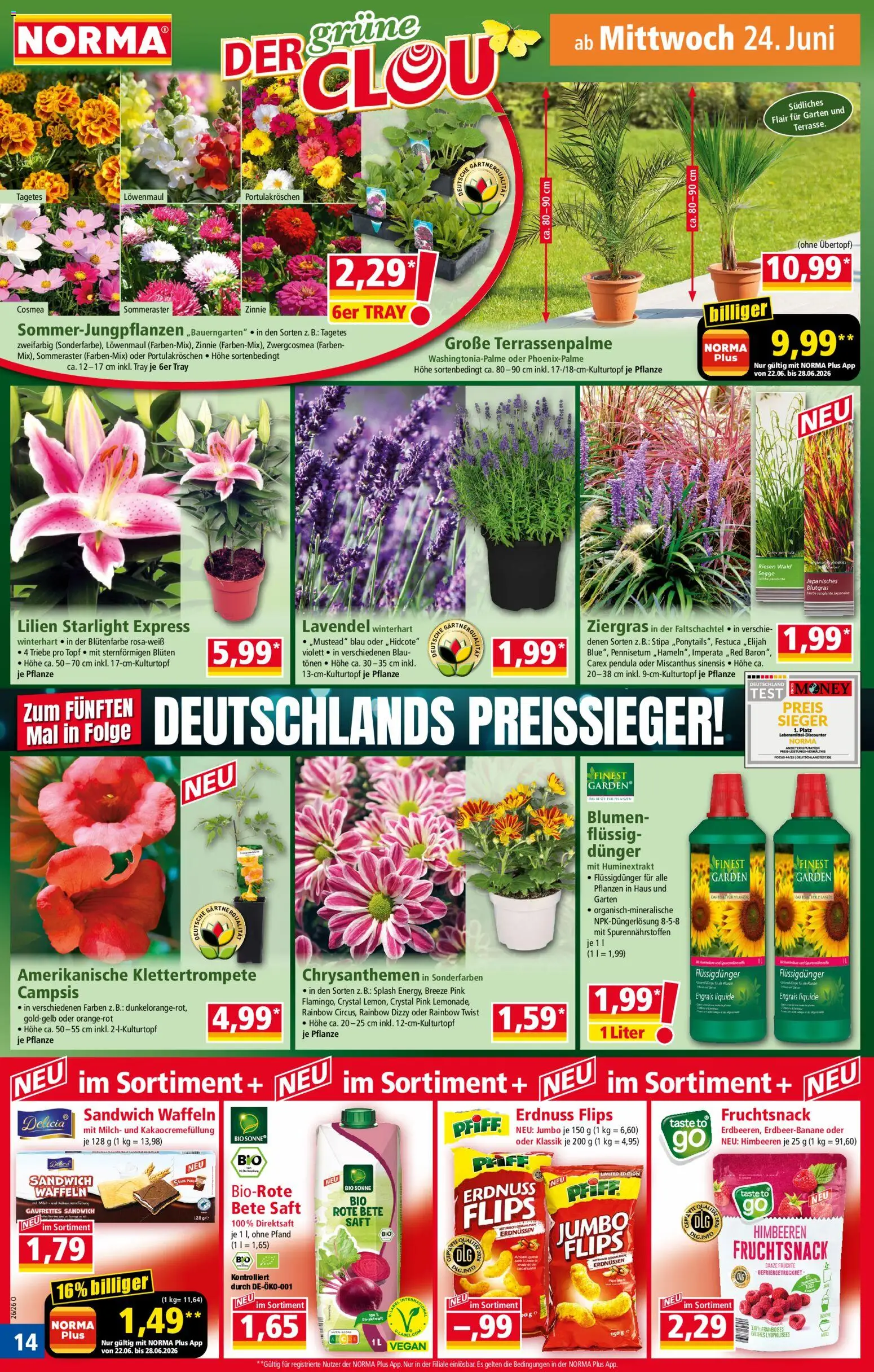 Norma Prospekt – gültig ab 22.06.2026 | Seite: 14 | Produkte: Milch, Blumen, Waffeln, Lavendel
