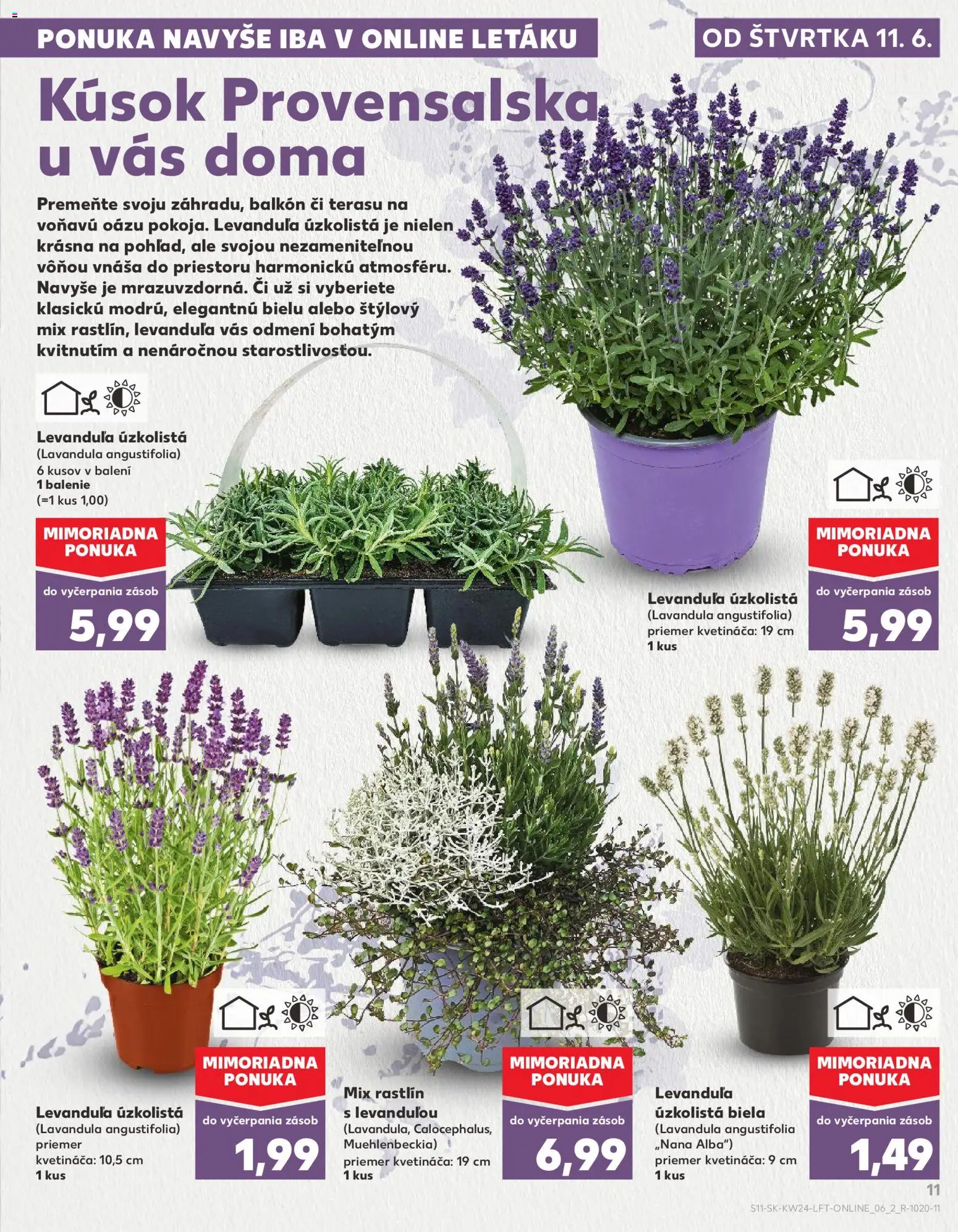 Nové Kaufland akcie – leták je platný od 11.06.2026 | Strana: 11