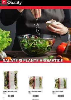 Ofertele Selgros valabile de la 01.08.2026 | Pagină: 34 | Produse: Plante aromatice, Salată