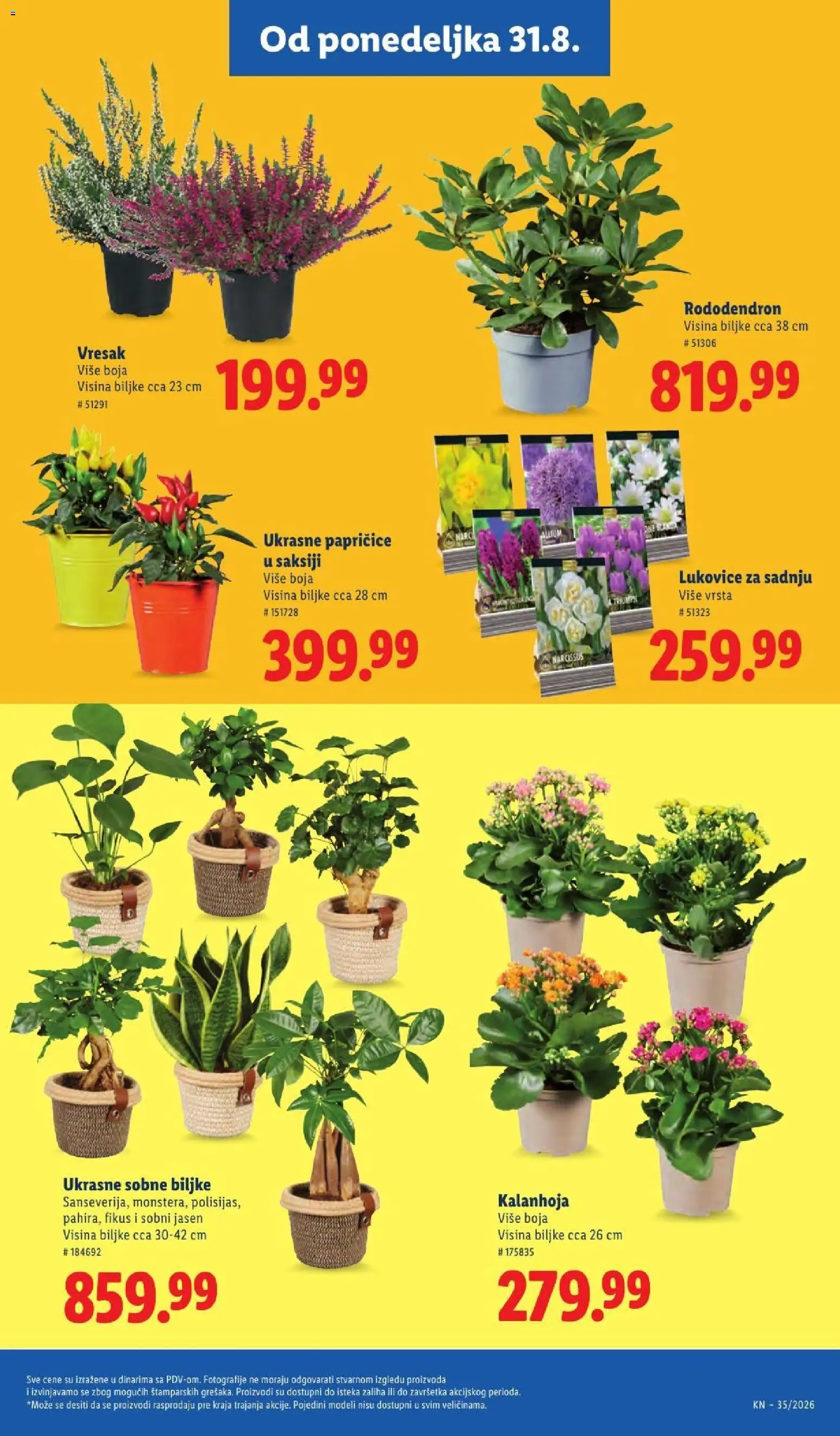 Lidl katalog - važi od 27.08.2026 | Strana: 69
