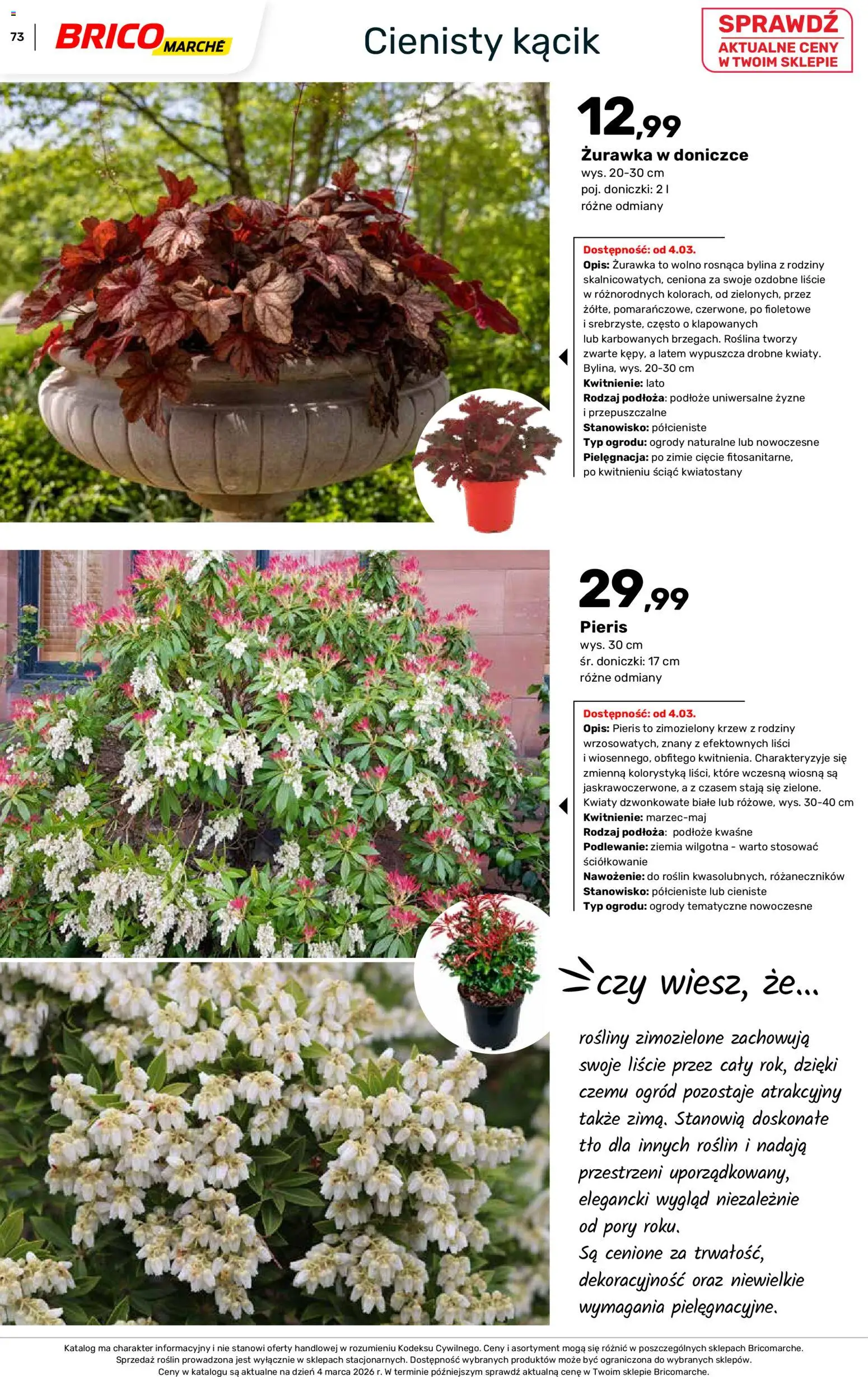 Brico Marché gazetka - Wiosna od 04.03.2026 | Strona: 73 | Produkty: Ziemia, Rosliny, Doniczki, Kwiaty