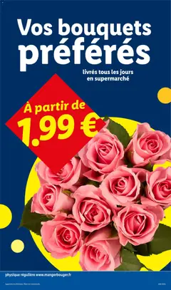 LIDL - Prévisualisation de LIDL catalogue valide à partir de 09/07/2026 | Page: 29