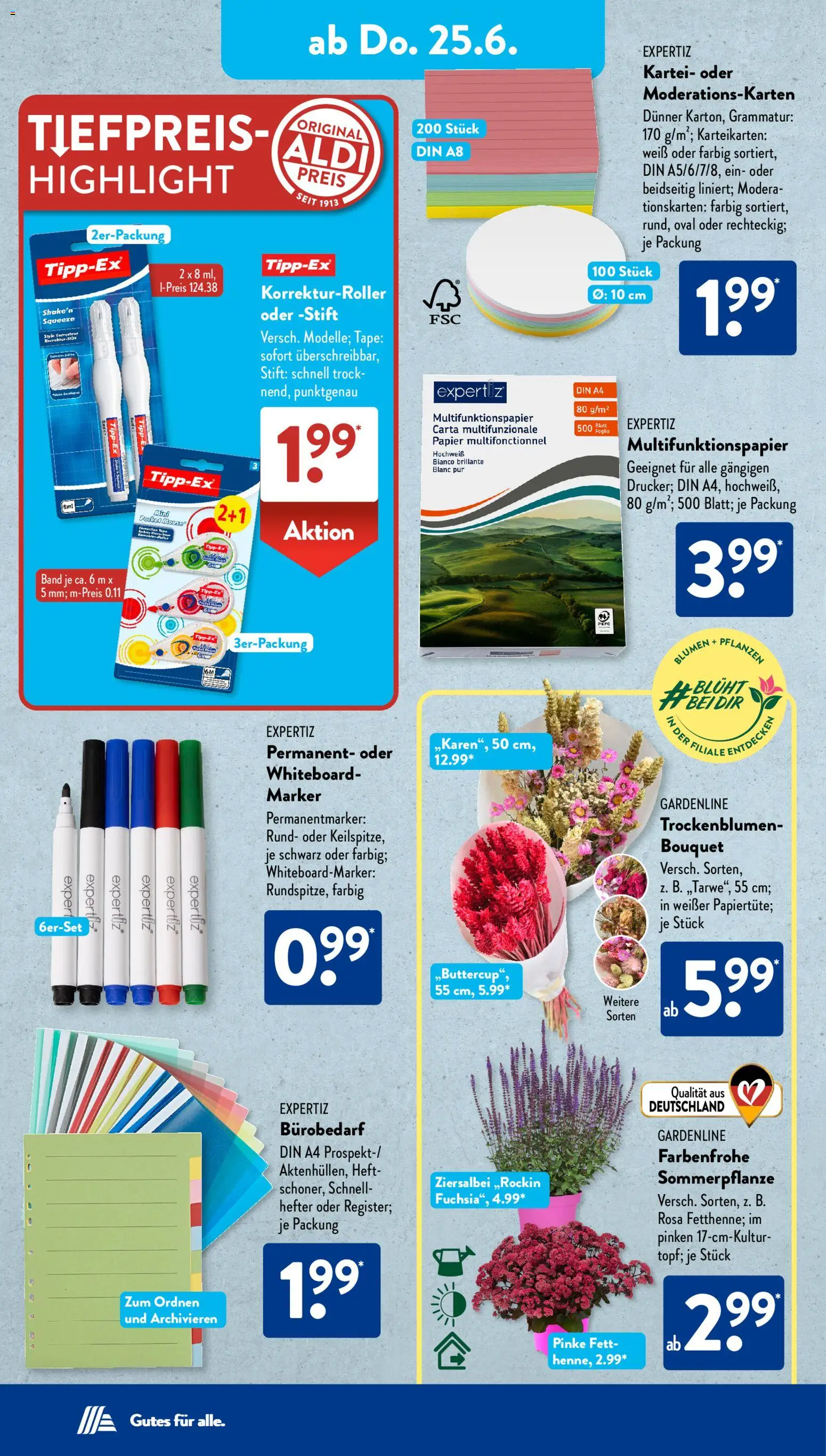 Aldi Süd Prospekt – gültig ab 22.06.2026 | Seite: 11 | Produkte: Blumen