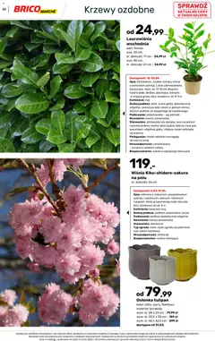 Pogląd oferty "Brico Marché gazetka - Wiosna" - ważna od 04.03.2026 | Strona: 62