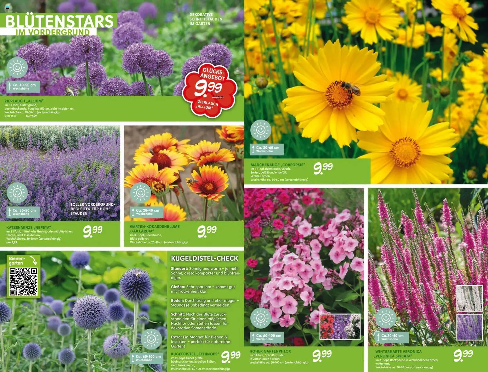 Blumen Risse Blütenglück Blumenmarkt – gültig ab 28.05.2026 | Seite: 5