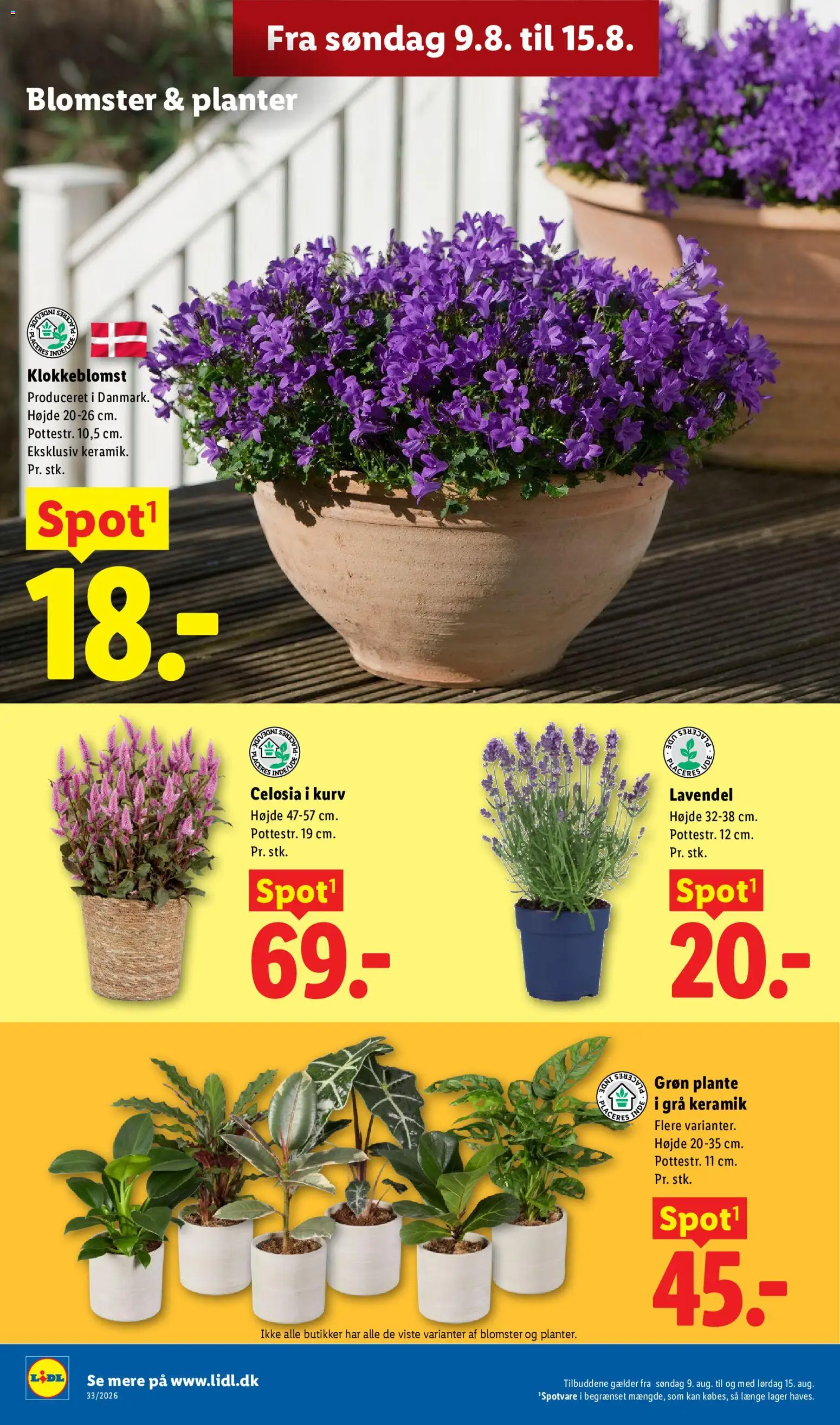 Lidl tilbudsavis – gyldig fra 09/08/2026 | Side: 33 | Produkter: Kurv, Søm